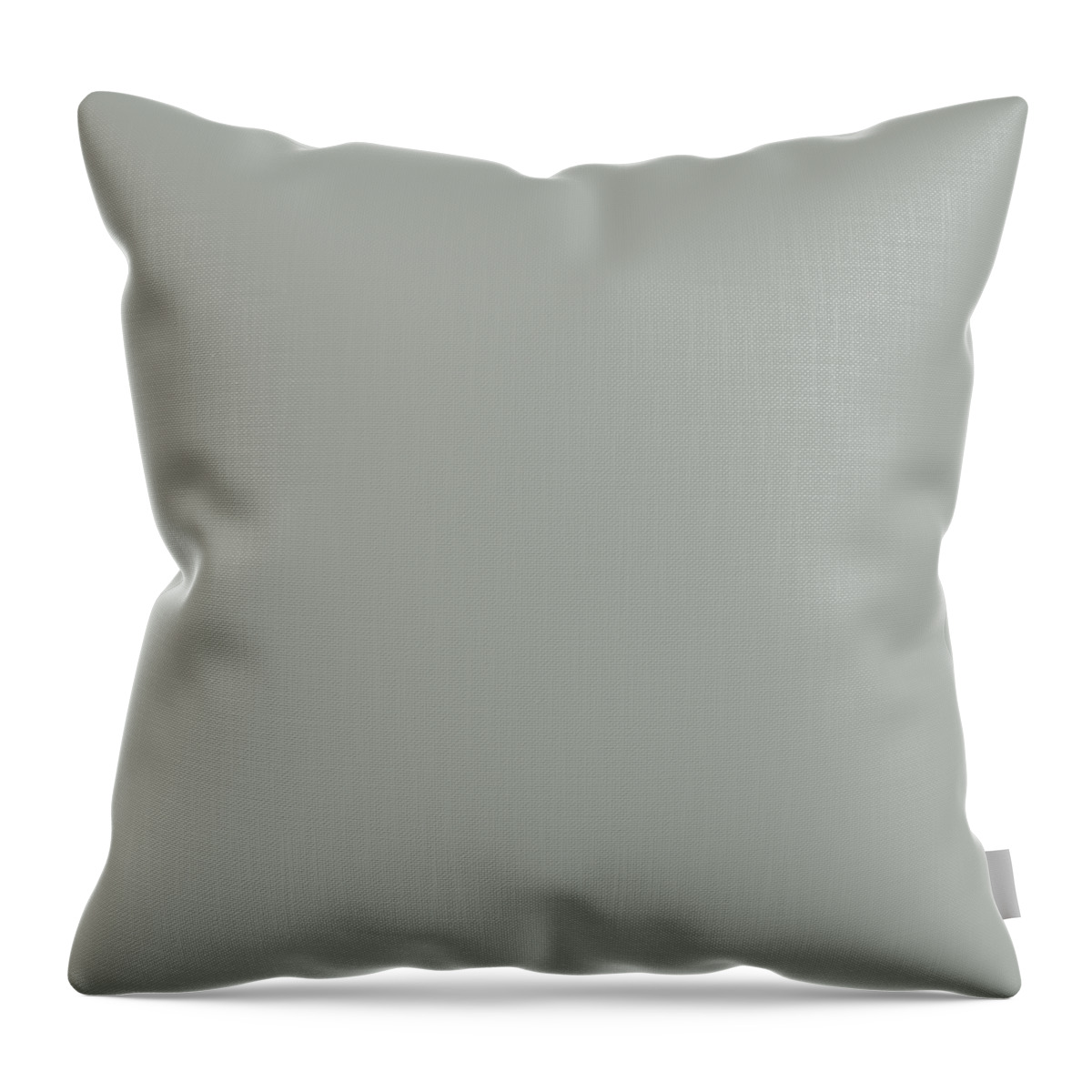Closeup Throw Pillow featuring the photograph Dewy Diamond Dandelion 6 of 12 by Cheryl McClure