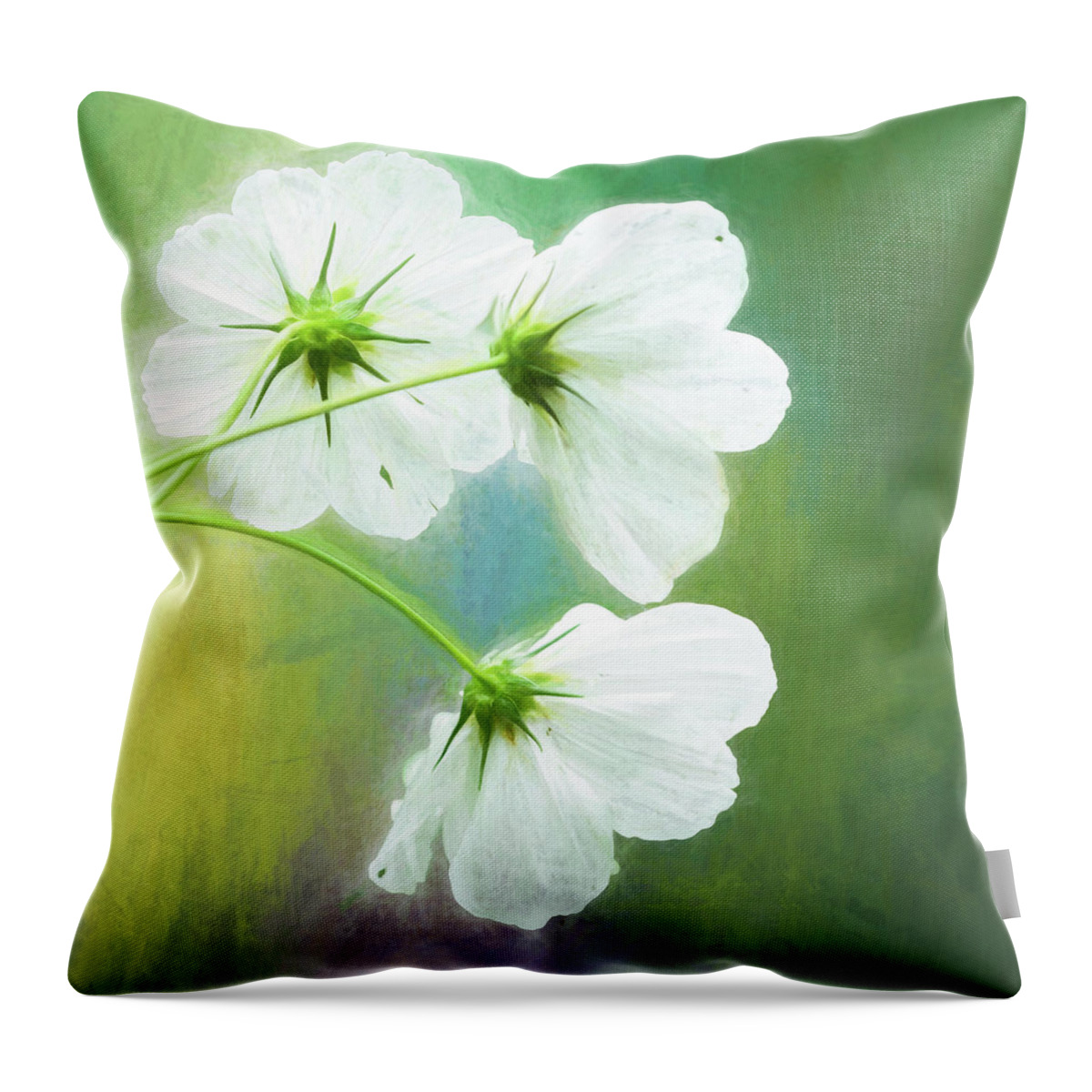 Colors Throw Pillow featuring the photograph Painted Cosmos Trio by Anita Pollak
