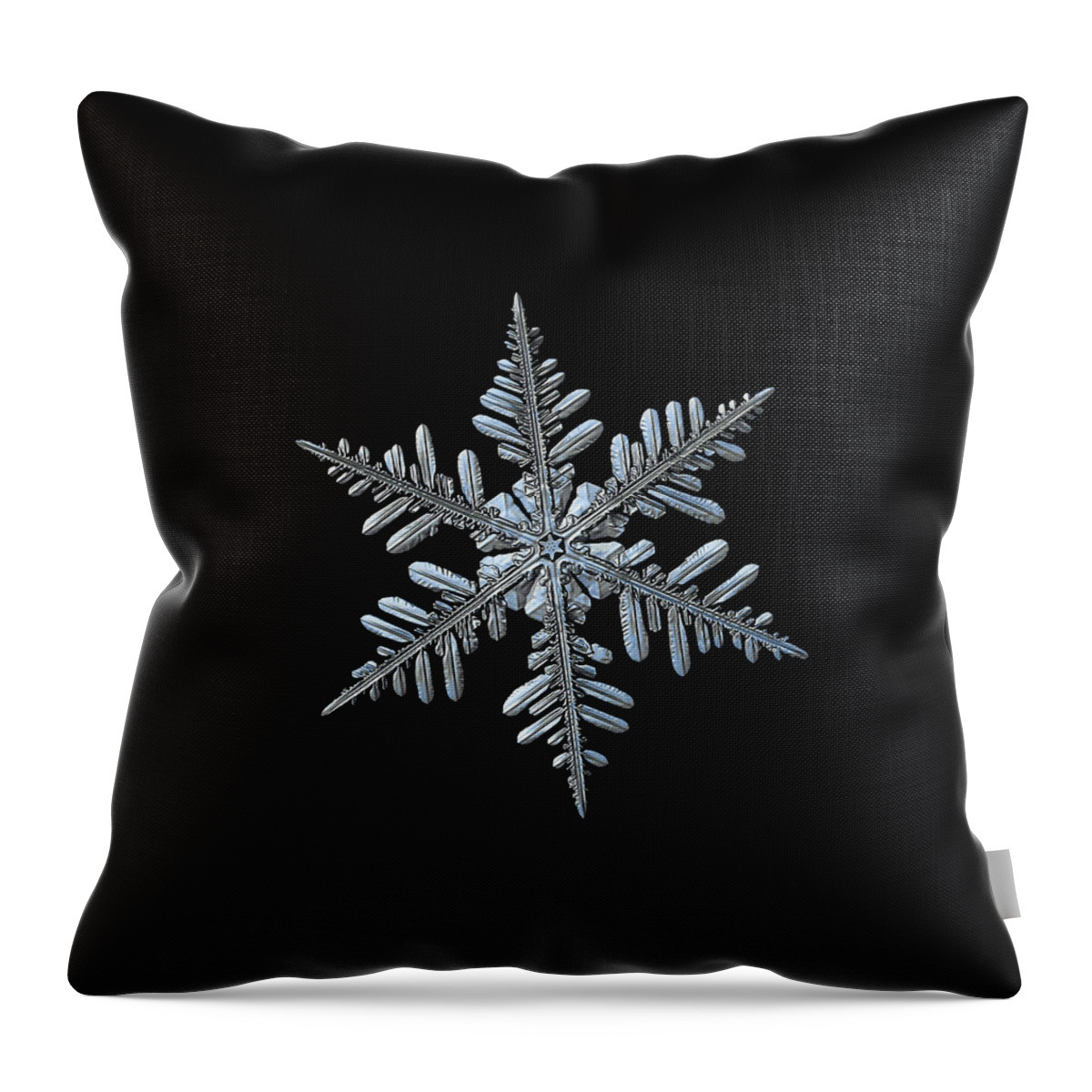 Snowflake Throw Pillow featuring the photograph Real snowflake 2016-01-09_2b by Alexey Kljatov