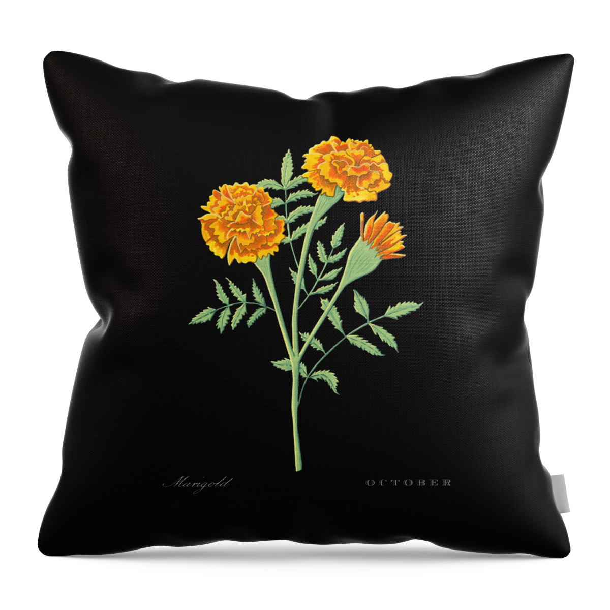 Marigold Throw Pillow featuring the painting Marigold October Birth Month Flower Botanical Print on Black - Art by Jen Montgomery by Jen Montgomery