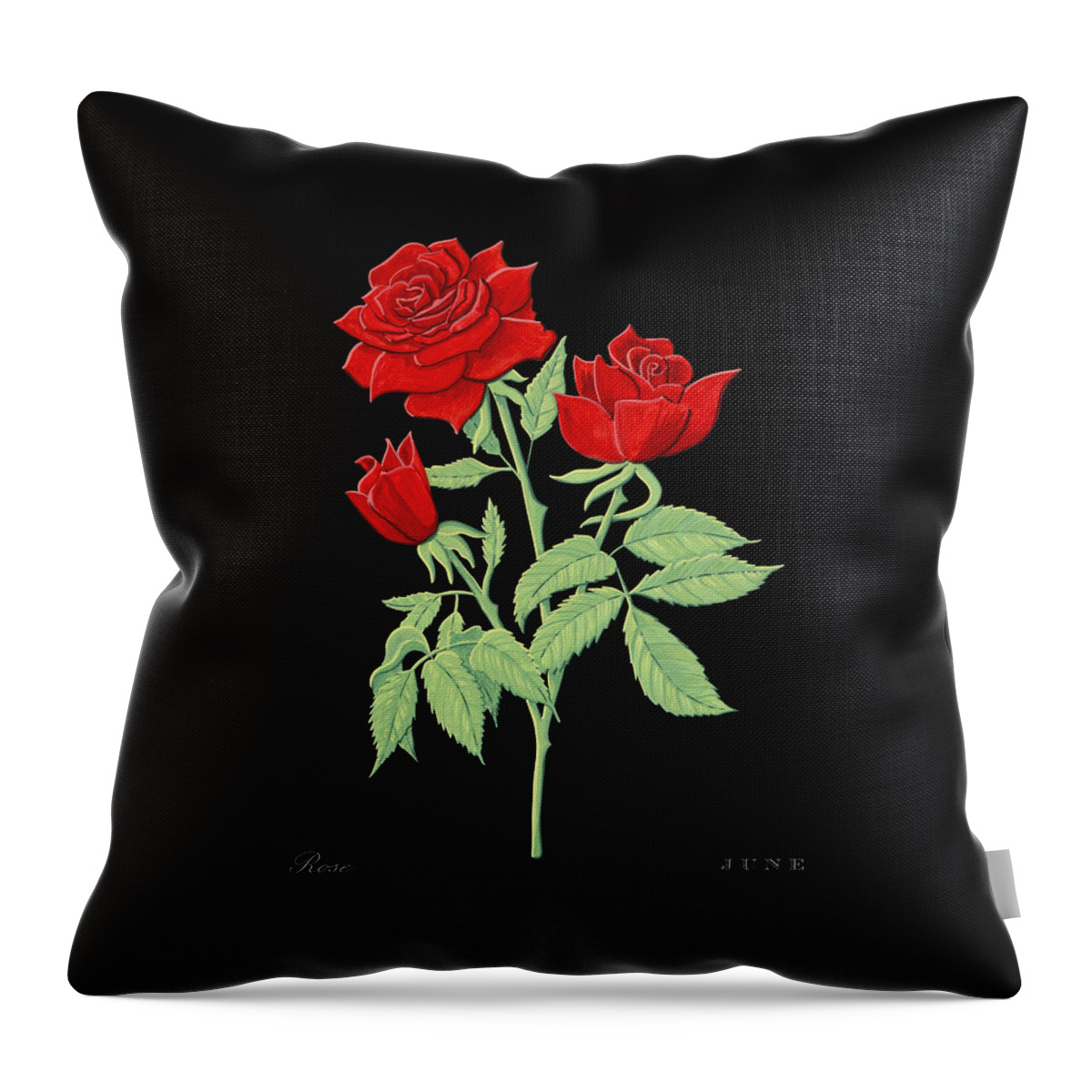 Rose Throw Pillow featuring the painting Rose June Birth Month Flower Botanical Print on Black - Art by Jen Montgomery by Jen Montgomery