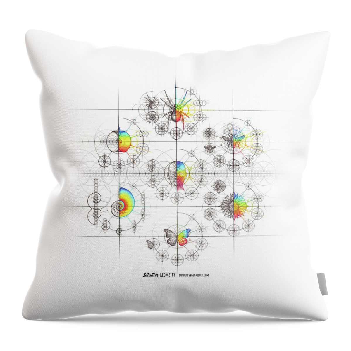 Spider Throw Pillow featuring the drawing Intuitive Geometry 7 Examples with Steps Art by Nathalie Strassburg