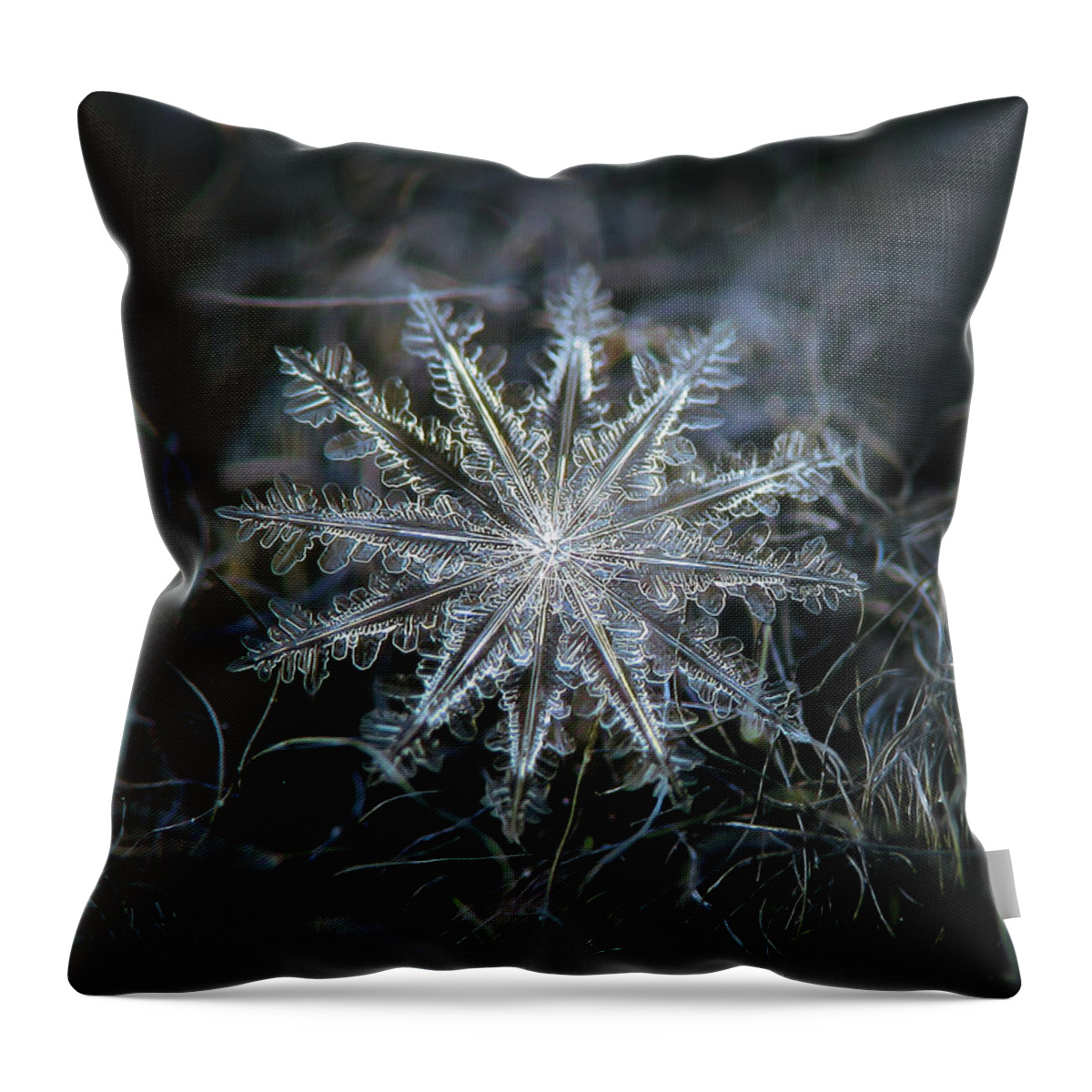 Snowflake Throw Pillow featuring the photograph Real snowflake 2014-01-26_5568-76_Electra by Alexey Kljatov