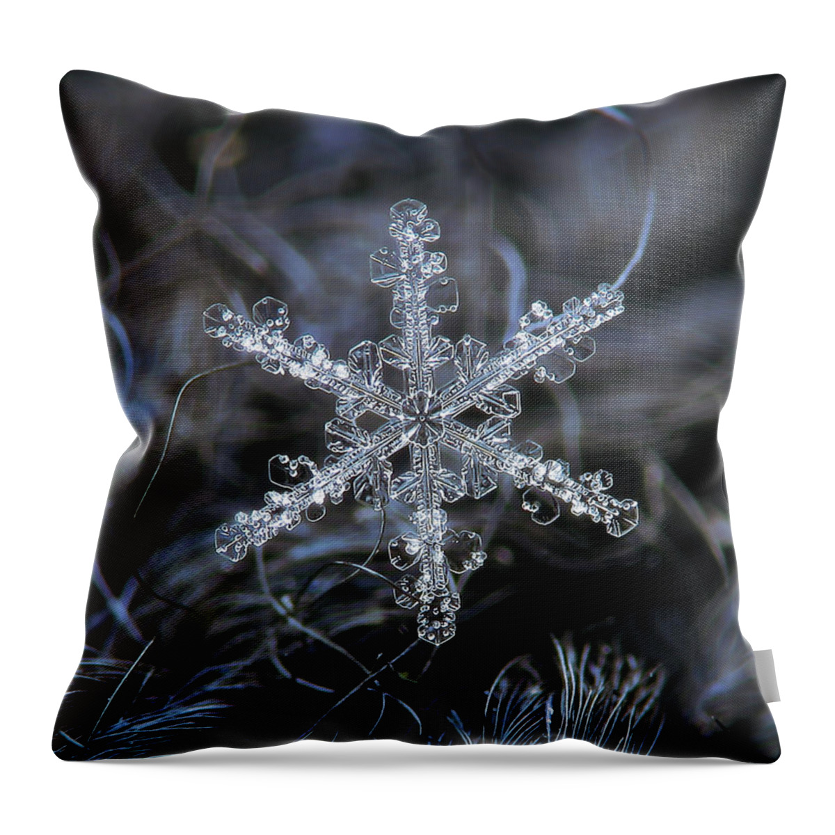 Snowflake Throw Pillow featuring the photograph Real snowflake 2021-01-12_3500-8 by Alexey Kljatov
