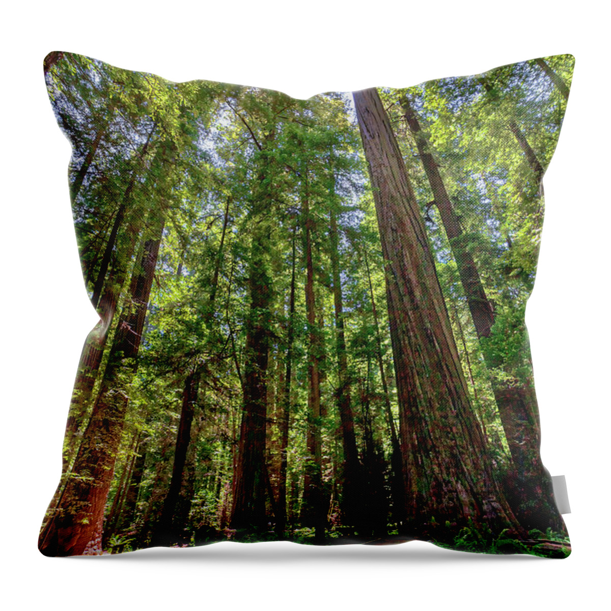 California Throw Pillow featuring the photograph As Tall as Tall Can Be by Dan Carmichael