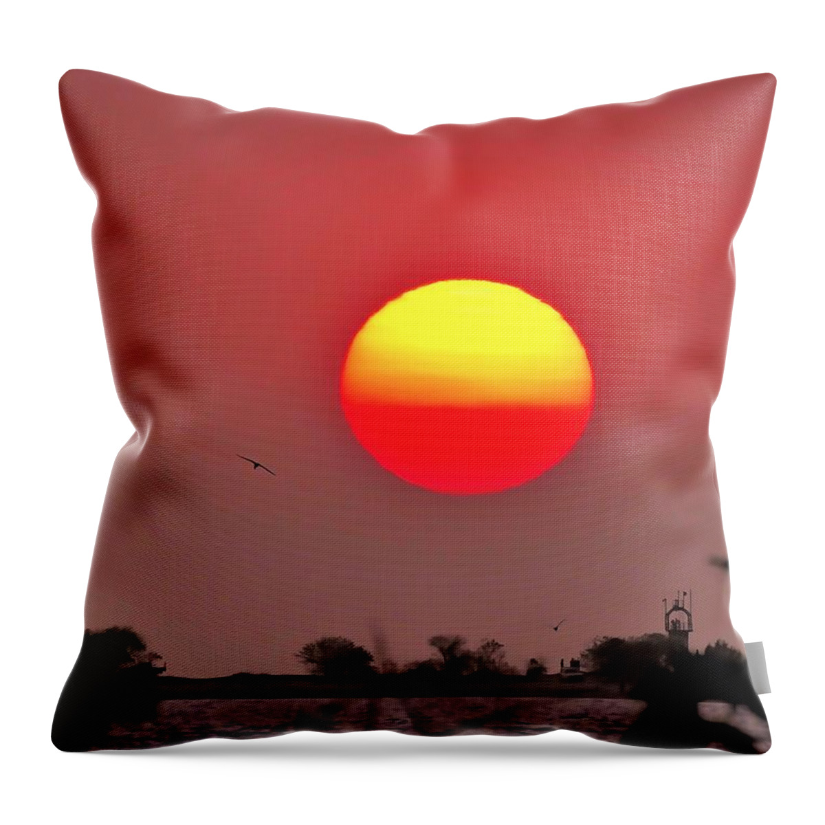 Weipa Throw Pillow featuring the photograph As the sun goes down and the birds don't play by Joan Stratton