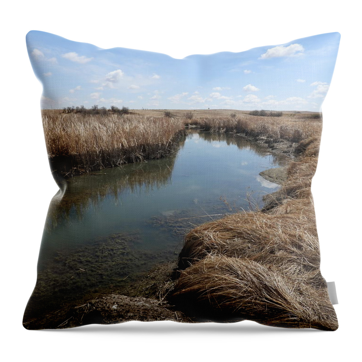 Creek Throw Pillow featuring the photograph Ash Creek by Amanda R Wright