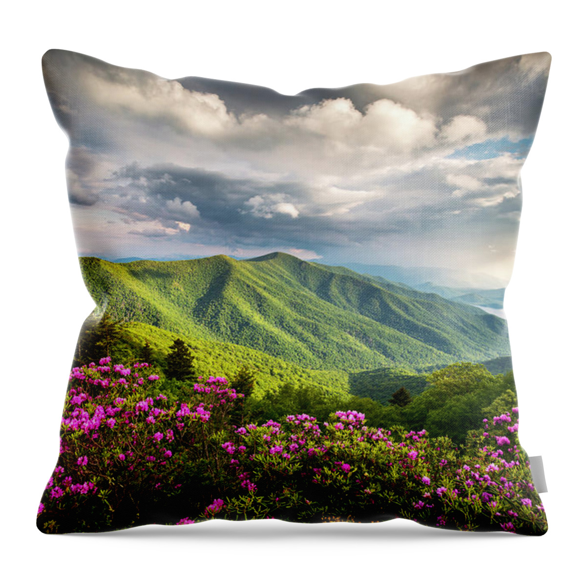 North Carolina Throw Pillow featuring the photograph Asheville NC Blue Ridge Parkway Spring Flowers by Dave Allen