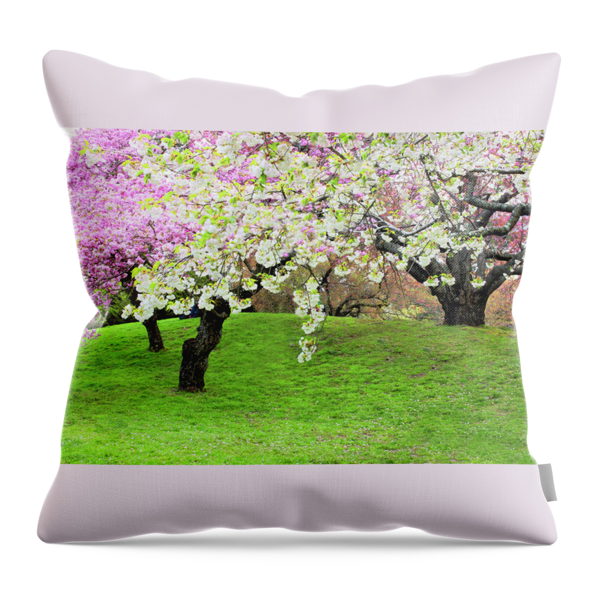 Cherry Trees Throw Pillow featuring the photograph Asian Inspired by Jessica Jenney