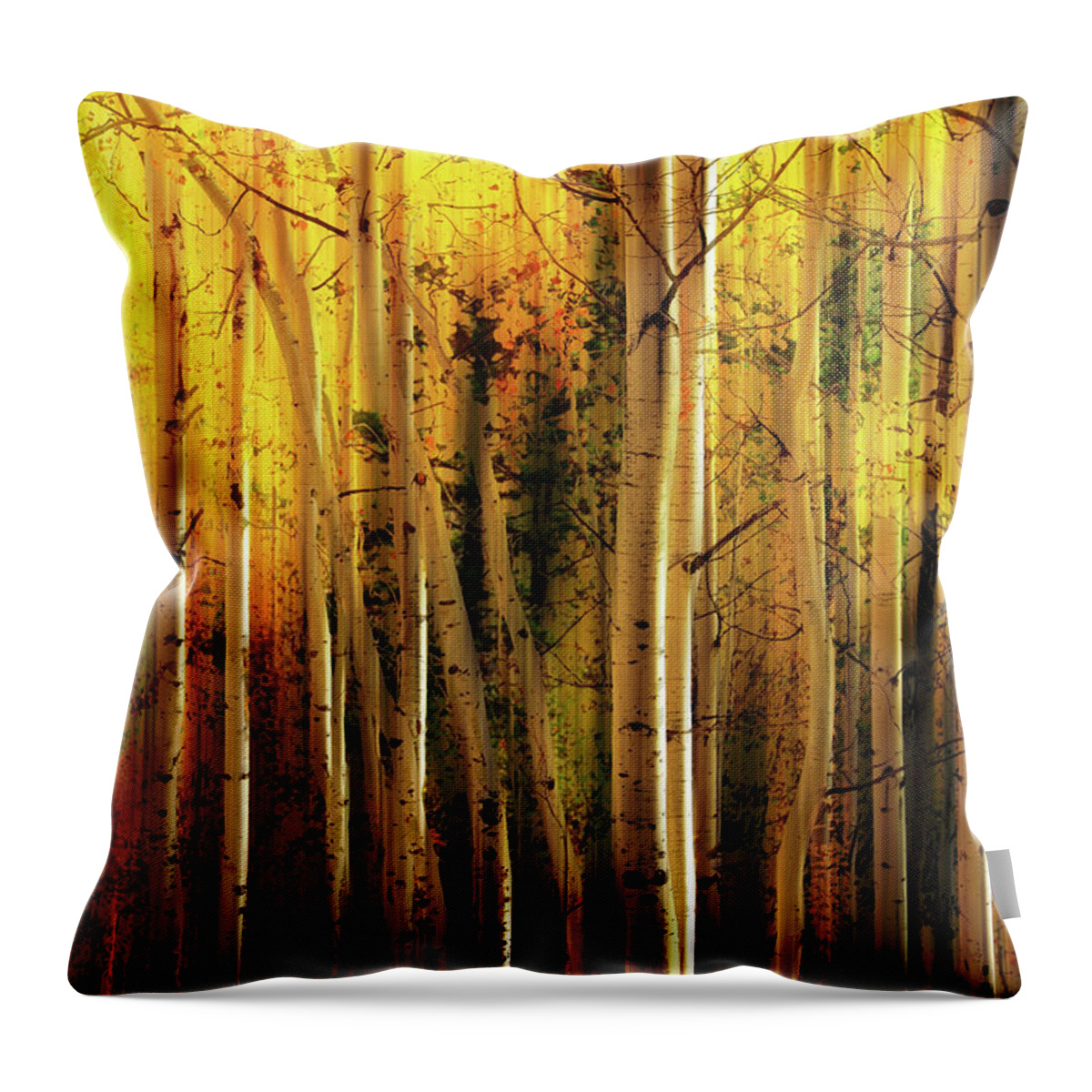 Aspen Glory Throw Pillow featuring the photograph Aspen Glory by Dan Sproul