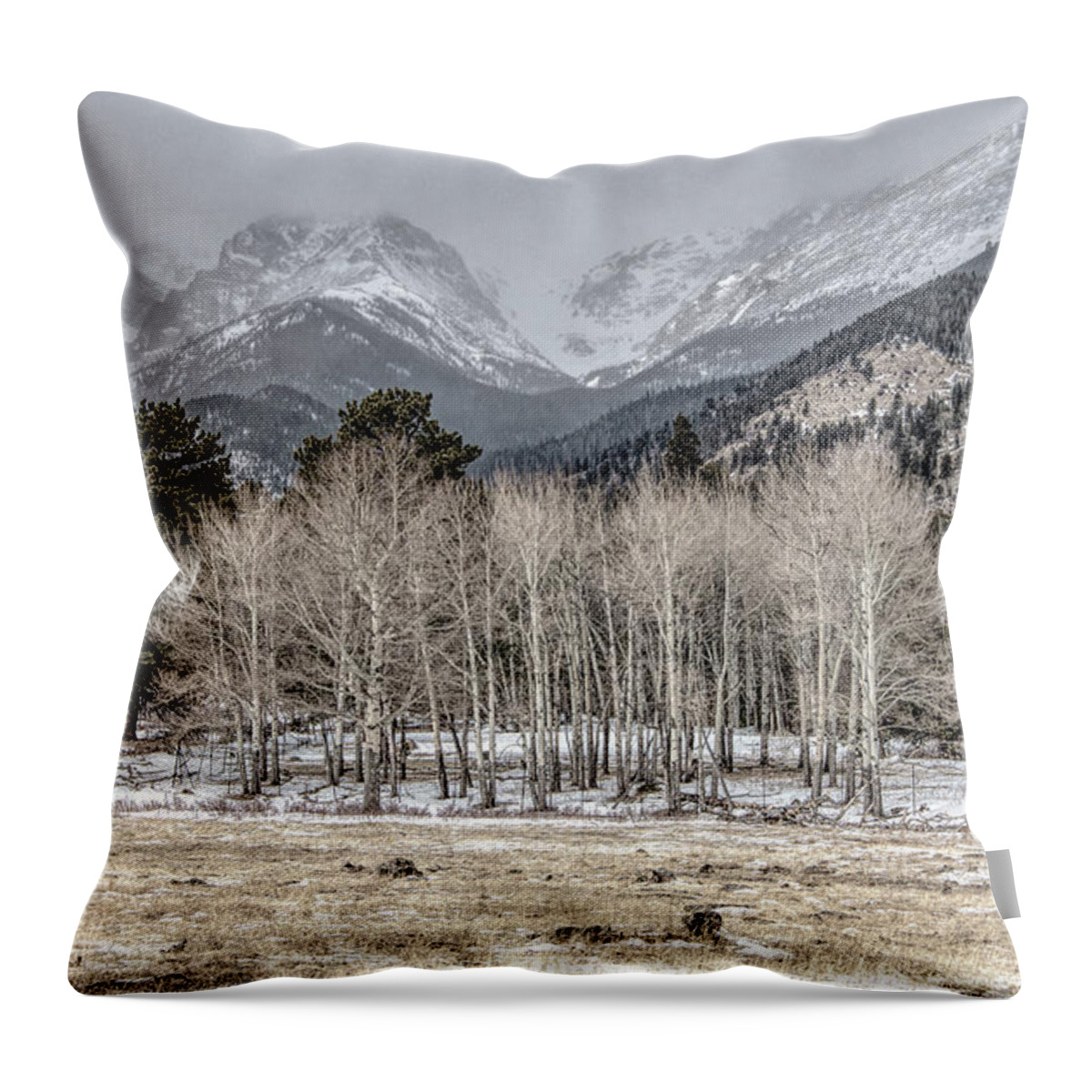 Rocky Mountains Throw Pillow featuring the photograph Aspen Skies, Desaturated Color by Marcy Wielfaert
