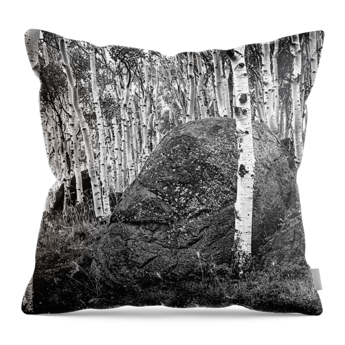 Aspens Throw Pillow featuring the photograph Aspen Stand Boulder Utah X101 by Rich Franco