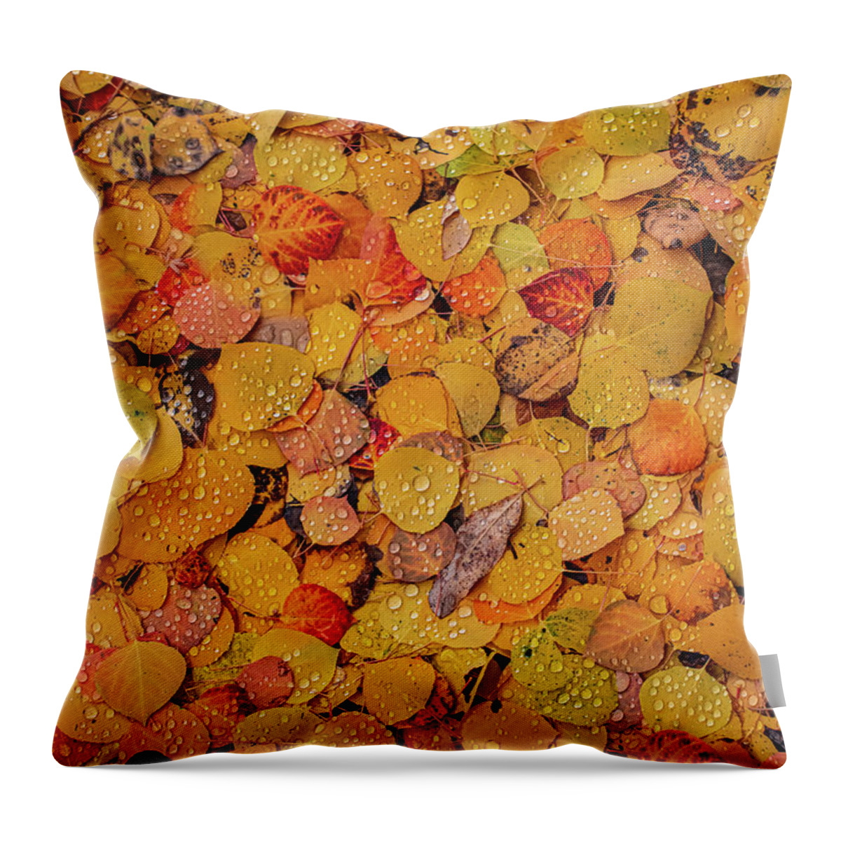 Aspen Leaves Throw Pillow featuring the photograph Aspen Water Colors by Jeff Phillippi