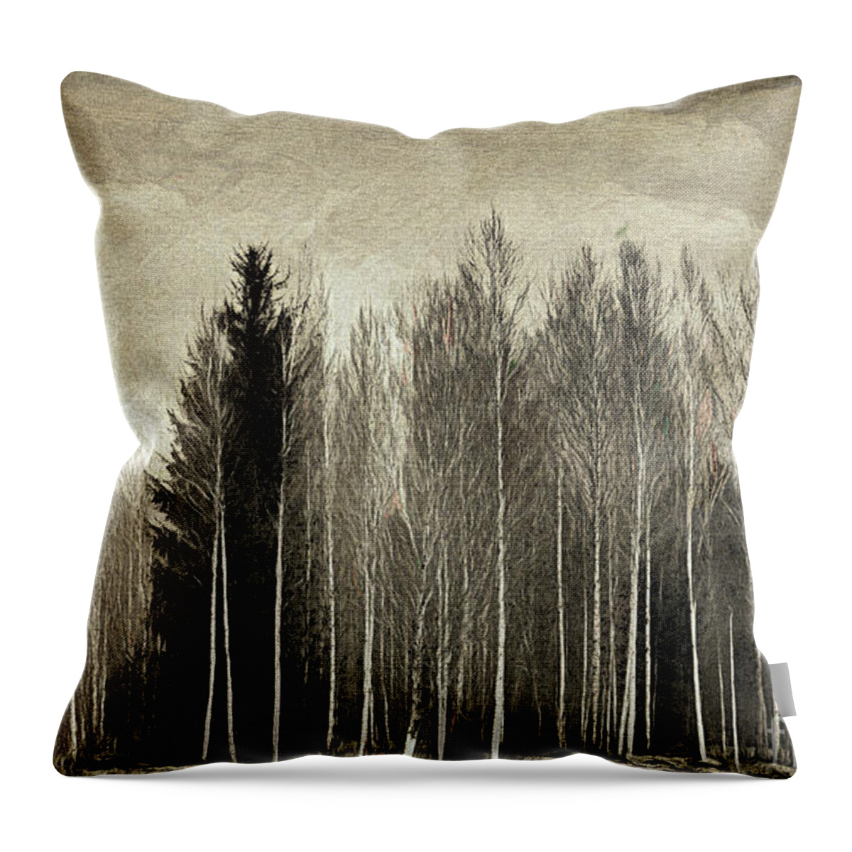 Nag006085 Throw Pillow featuring the digital art Aspen Wood by Edmund Nagele FRPS