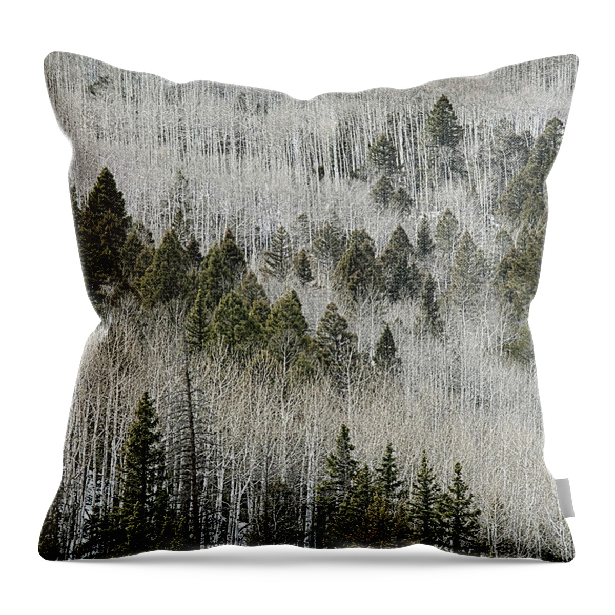 Trees Throw Pillow featuring the photograph Aspens In Spring by Ron Weathers