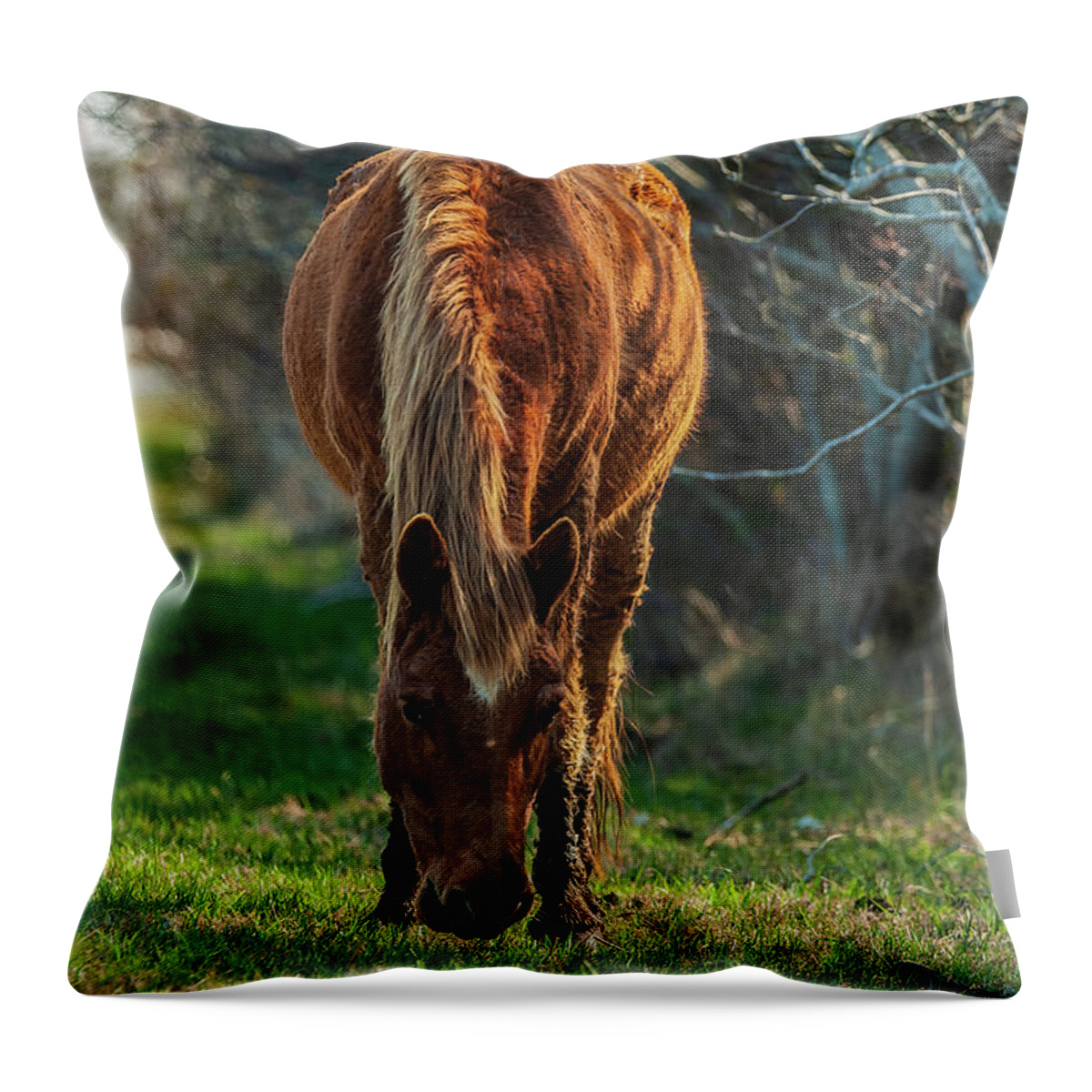Assateague Ponies Throw Pillow featuring the photograph Assateague Pony by Louis Dallara