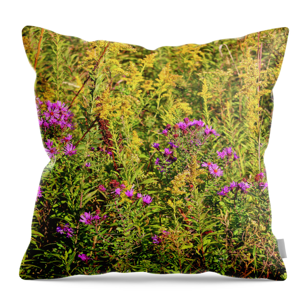 Aster Throw Pillow featuring the photograph Aster and Goldenrod by Christopher Reed