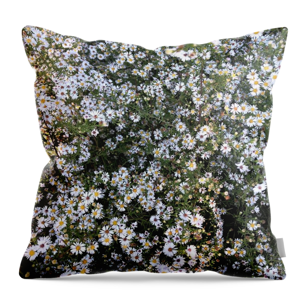 Asters Throw Pillow featuring the photograph Asters Wildflowers by Valerie Collins