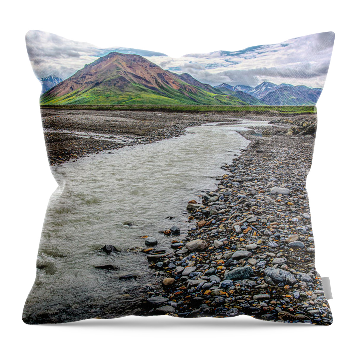 Denali Throw Pillow featuring the photograph At the Foot of Denali by Douglas Wielfaert
