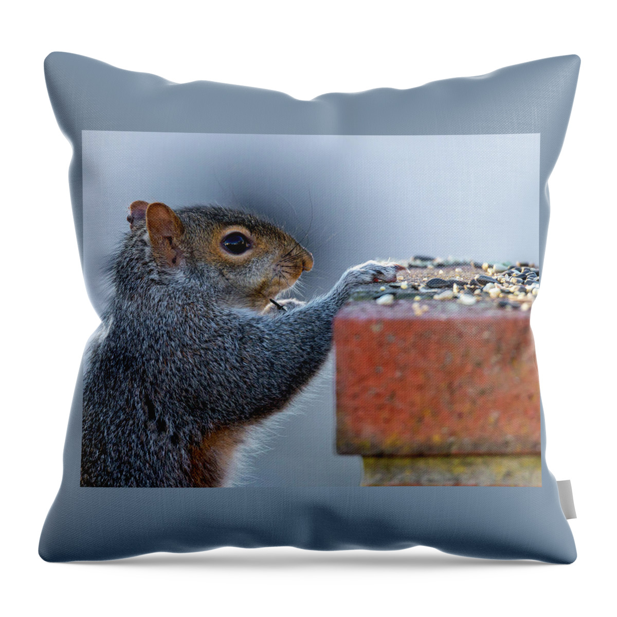 Wildlife Throw Pillow featuring the photograph At the Table by William Bretton