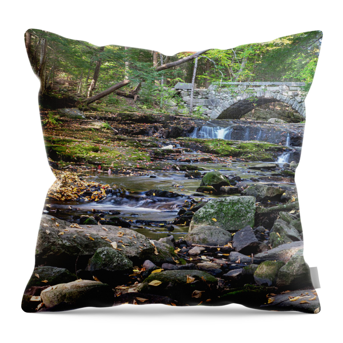Vaughan Woods Throw Pillow featuring the photograph At the Vaughan Woods 11 by Dimitry Papkov