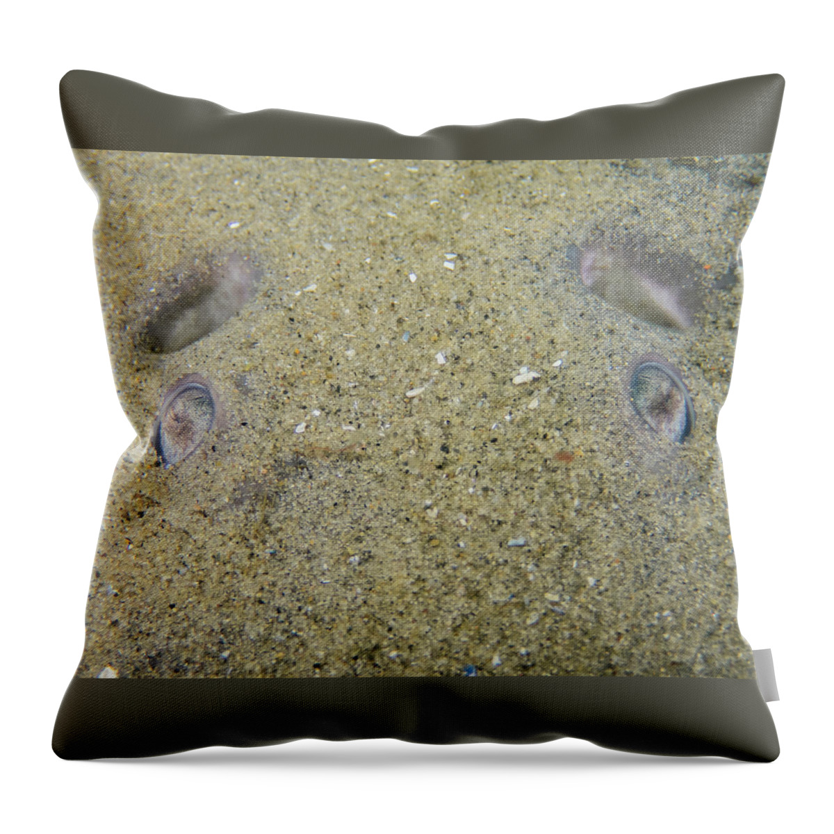 Underwater Throw Pillow featuring the pastel Atlantic Torpedo eyes by Brian Weber