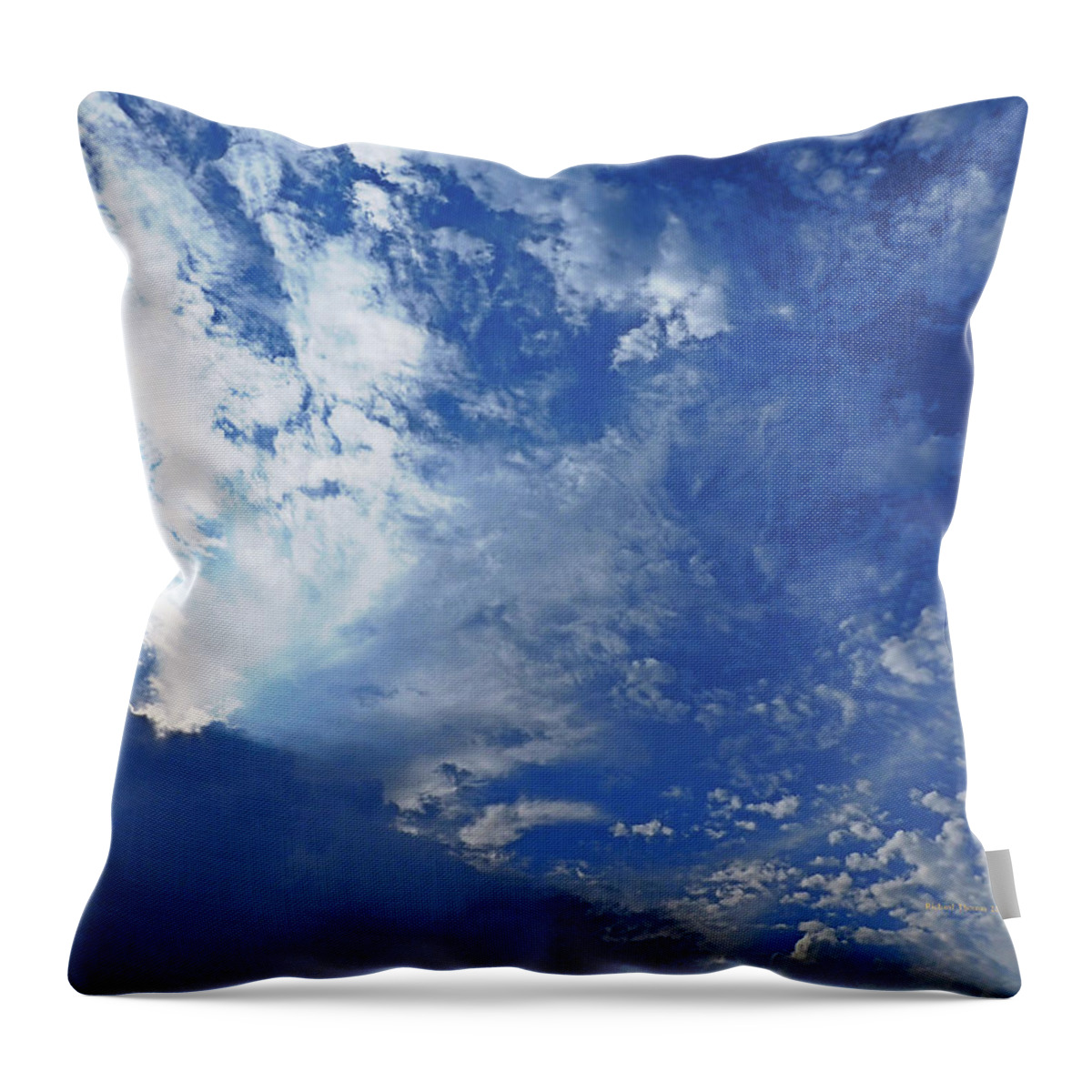 Weather Throw Pillow featuring the photograph August Rain by Richard Thomas