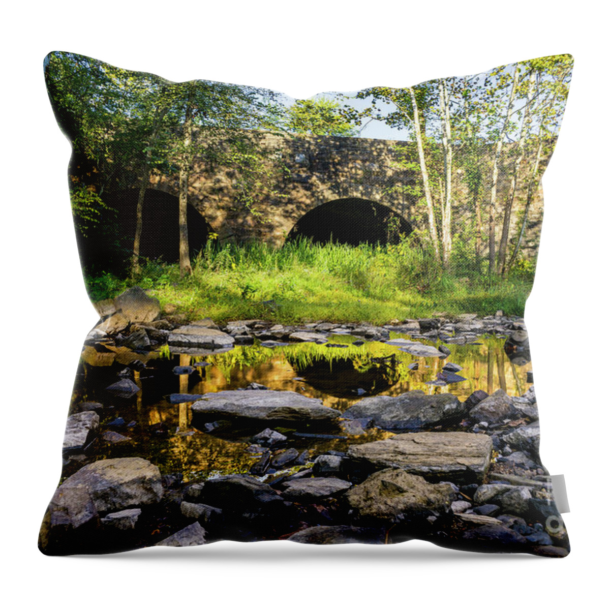Augusta Throw Pillow featuring the photograph Augusta Canal - GA by Sanjeev Singhal