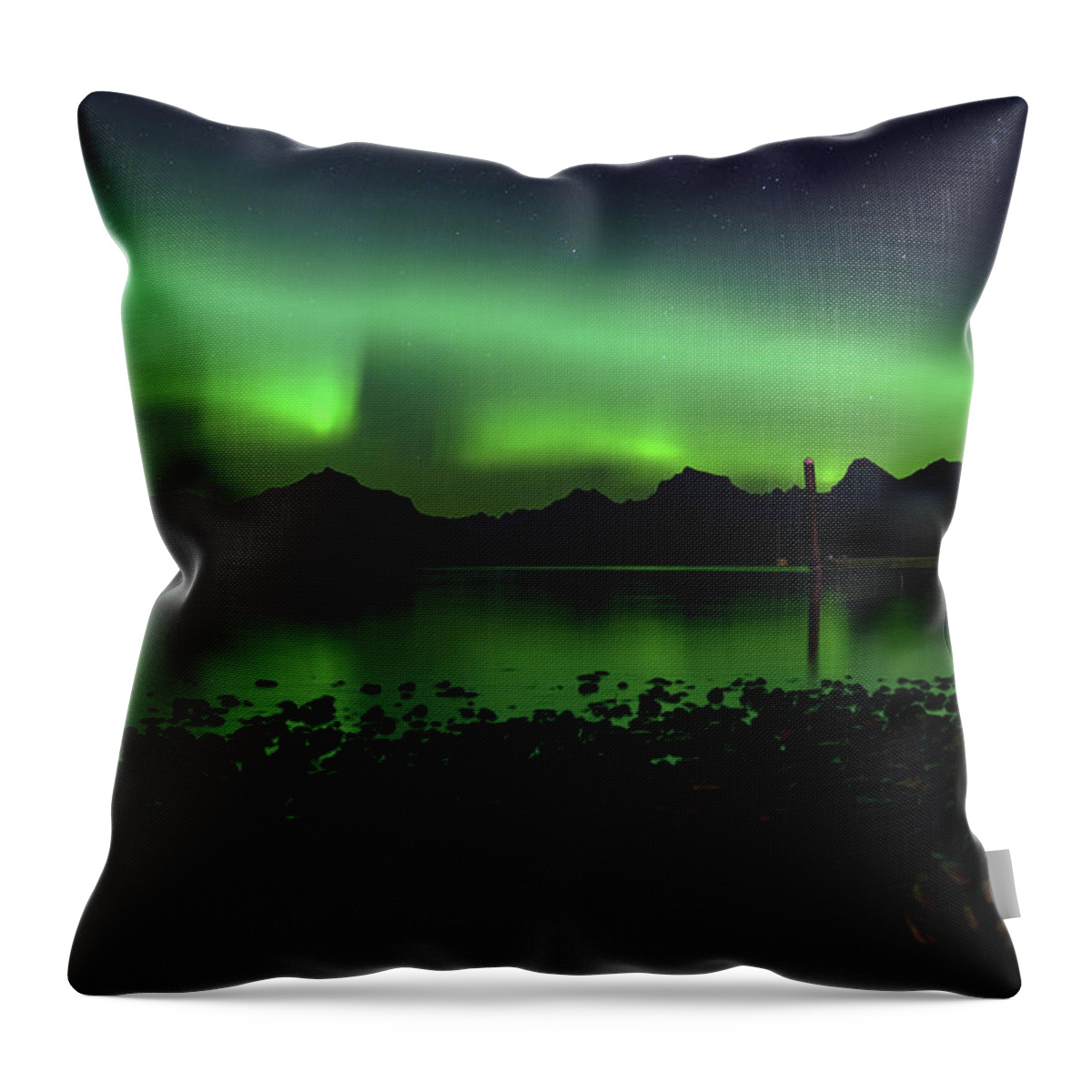  Throw Pillow featuring the photograph Aurora Borealis in Portrait by William Boggs