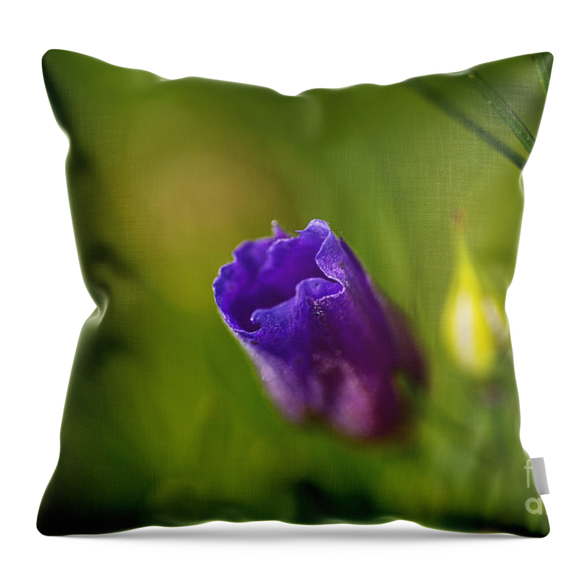 Hibiscus Throw Pillow featuring the photograph Australian Hibiscus Flower by Joy Watson