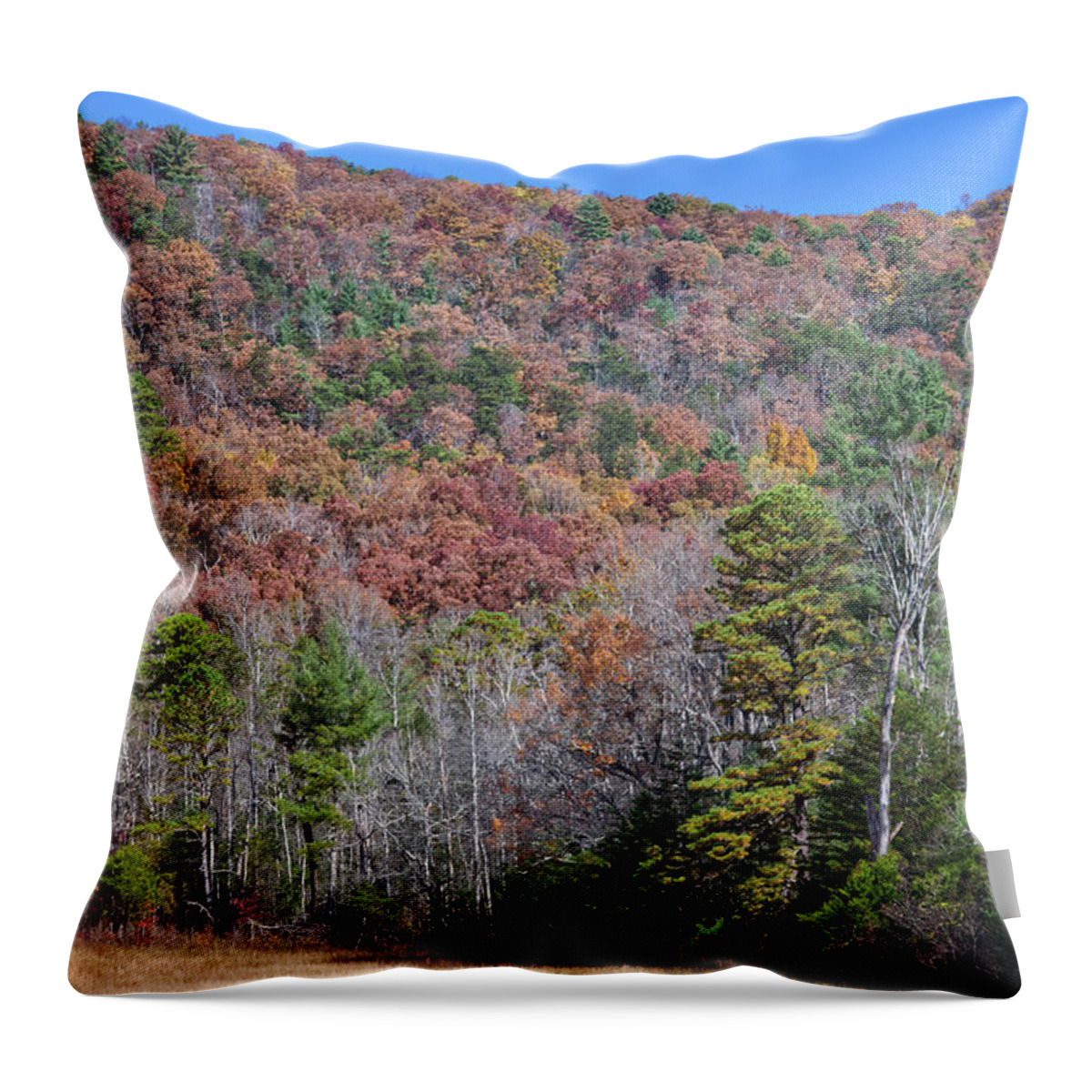 Cades Cove Throw Pillow featuring the photograph Autumn at Cades Cove 2 by Phil Perkins
