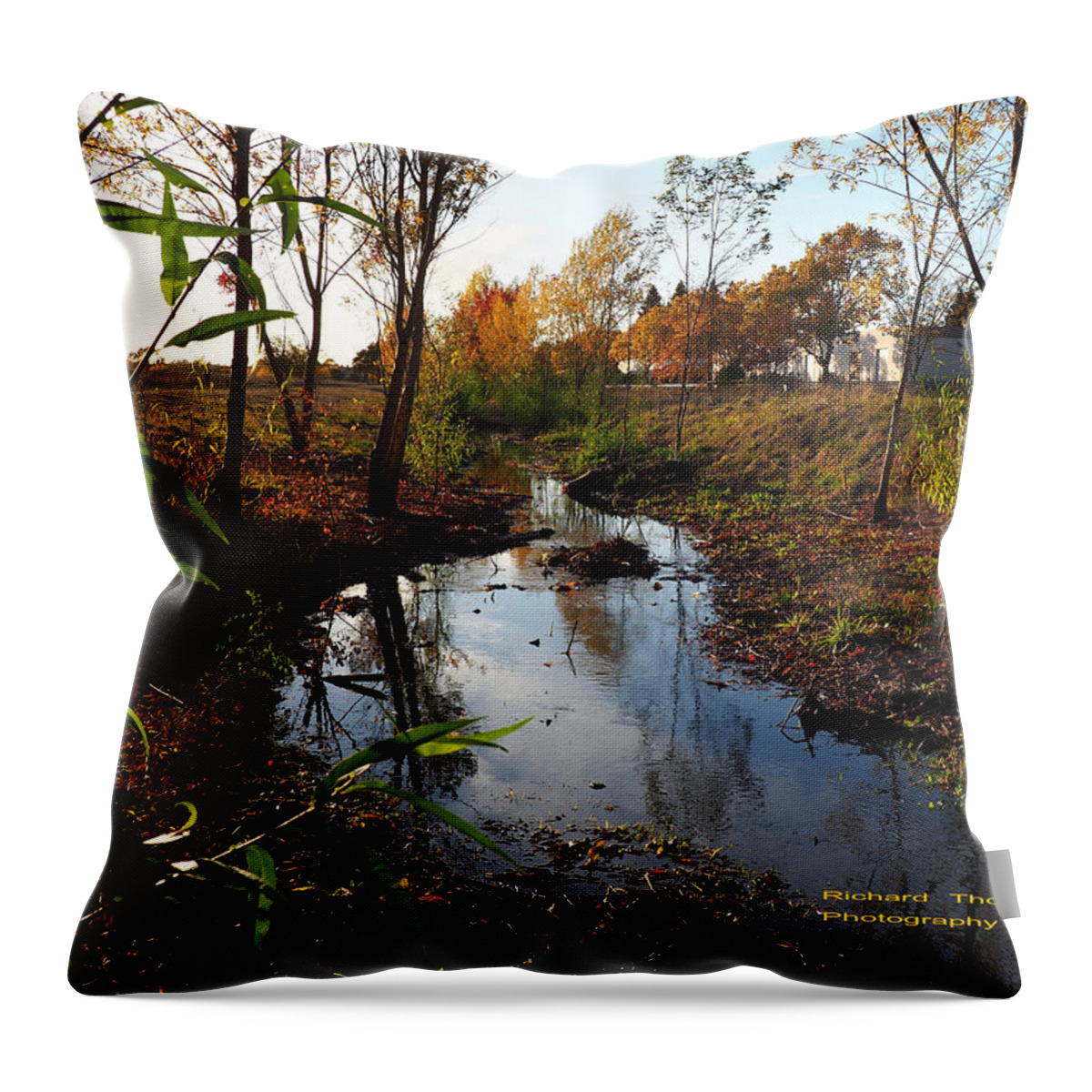 Fall Throw Pillow featuring the photograph Autumn at Edgewater Creek by Richard Thomas