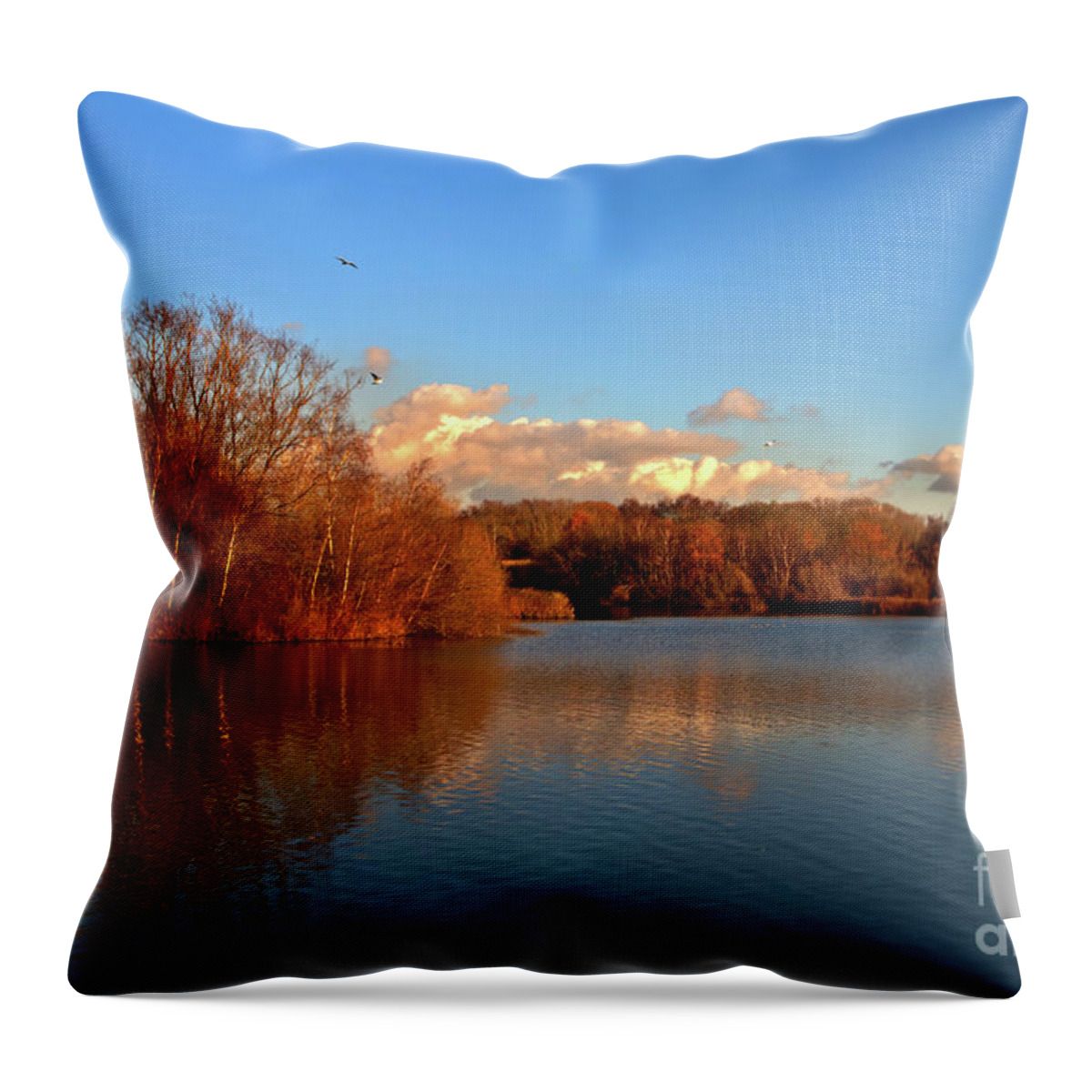 Landscape Throw Pillow featuring the photograph Autumn at the lake by Stephen Melia