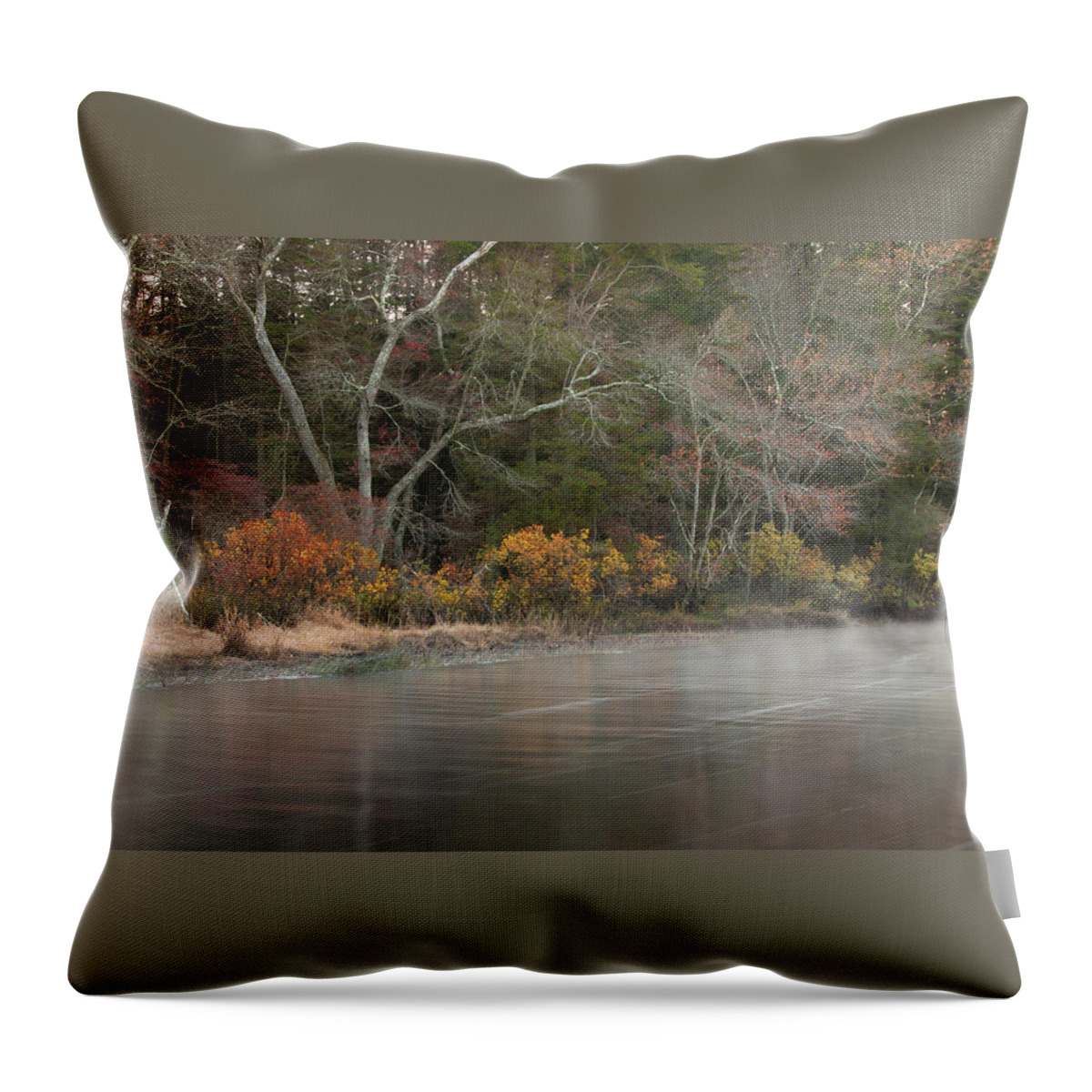 Nature Throw Pillow featuring the photograph Autumn At Wading River by Kristia Adams