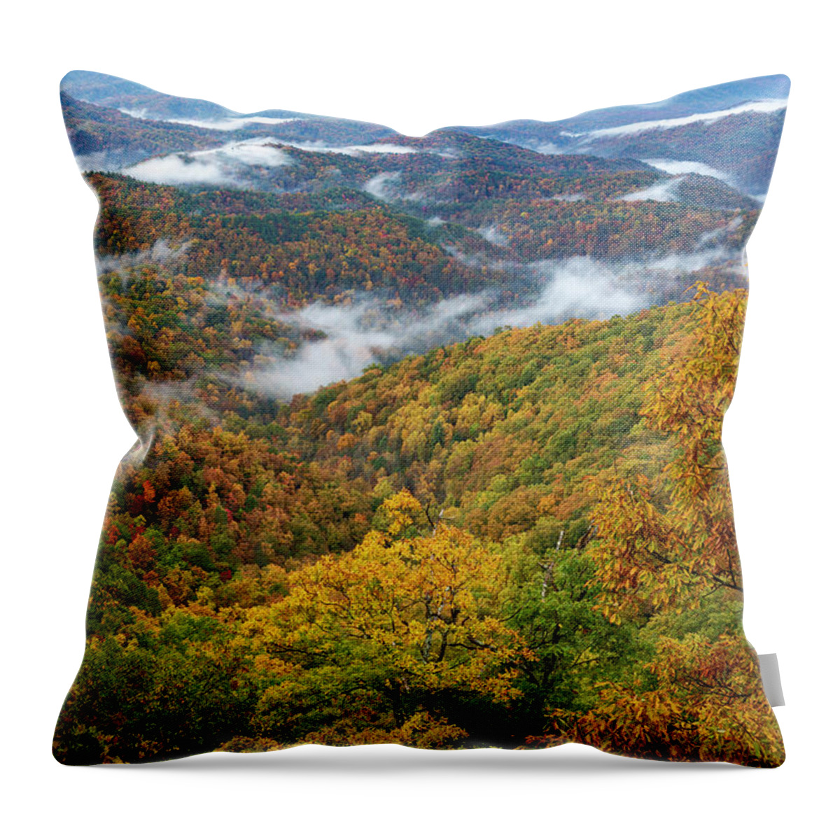 Vivid Autumn Landscape On The Blue Ridge Throw Pillow featuring the photograph Autumn Blue Ridge Mountains by Dan Sproul