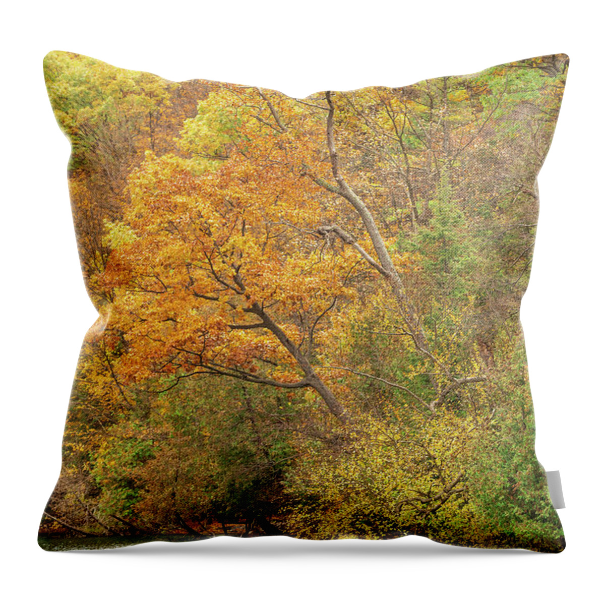 Fall Throw Pillow featuring the photograph Autumn Bouquet by Rod Best