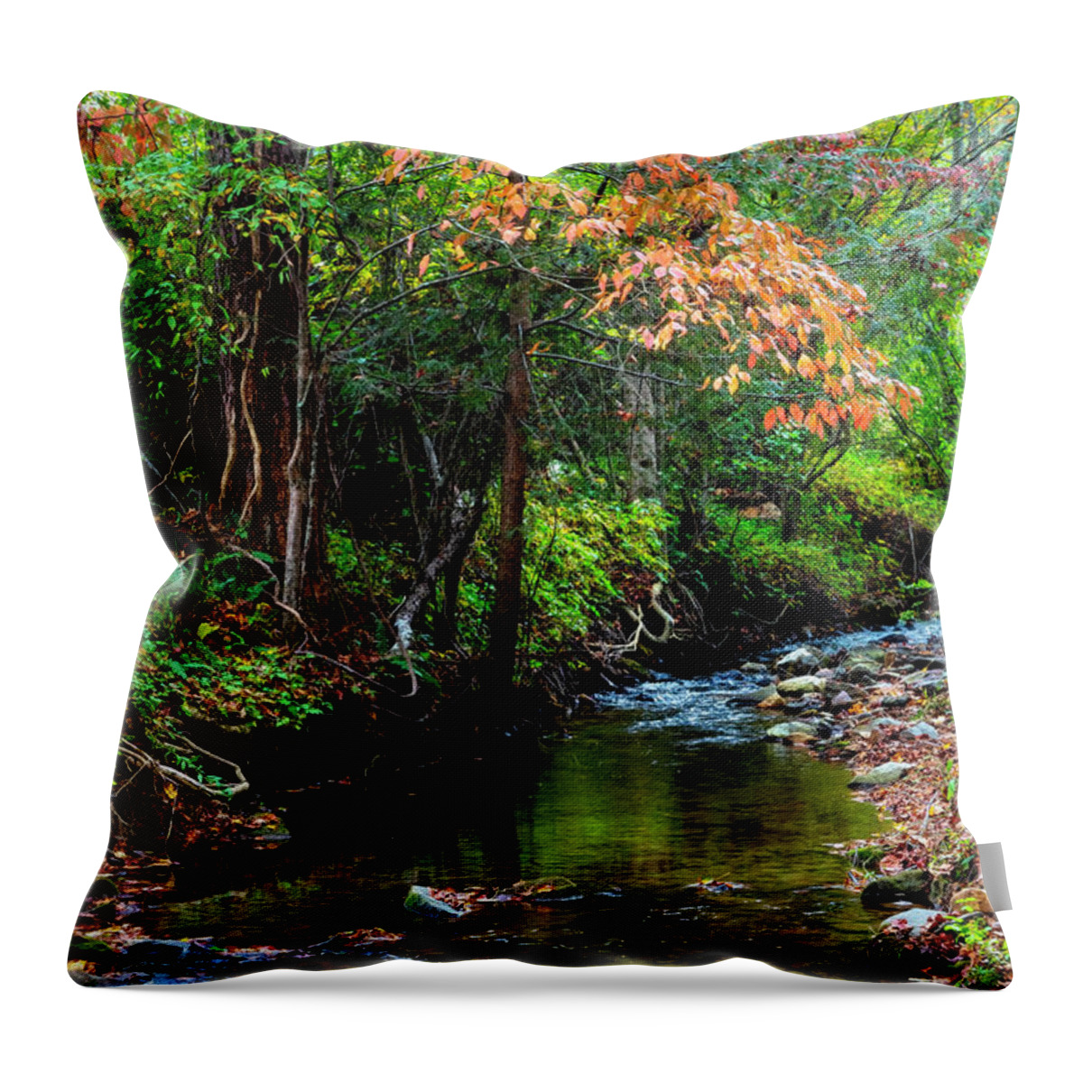 Blairsville Throw Pillow featuring the photograph Autumn Branches over the Stream by Debra and Dave Vanderlaan