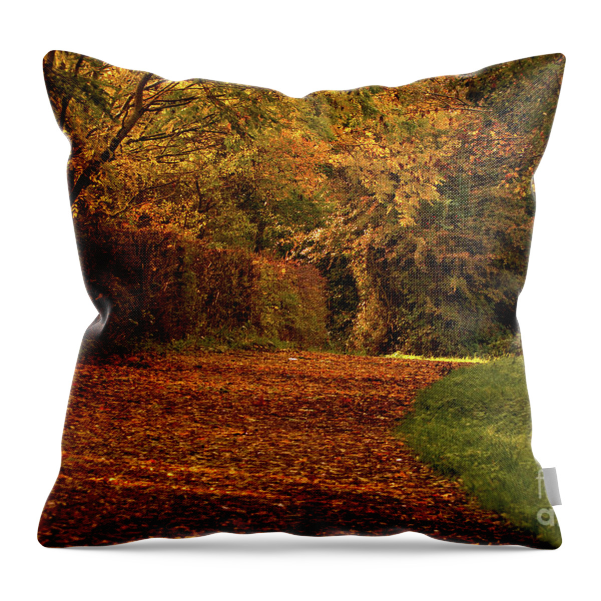 Nature Throw Pillow featuring the photograph Autumn bridal path by Stephen Melia