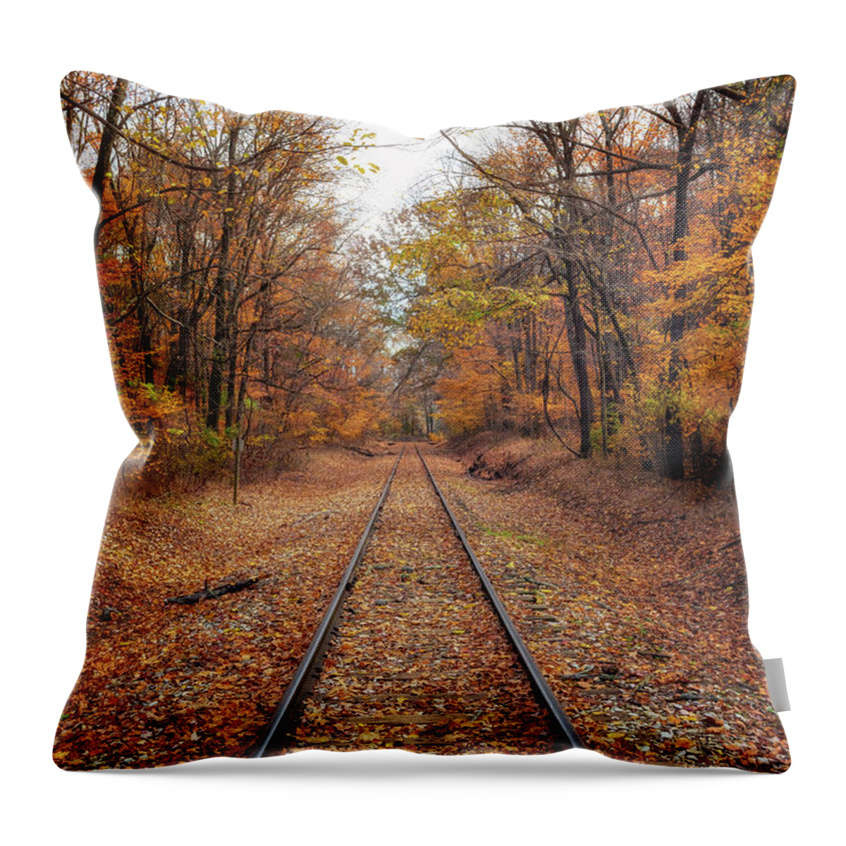 Railway Throw Pillow featuring the photograph Autumn by Rail by Susan Rissi Tregoning