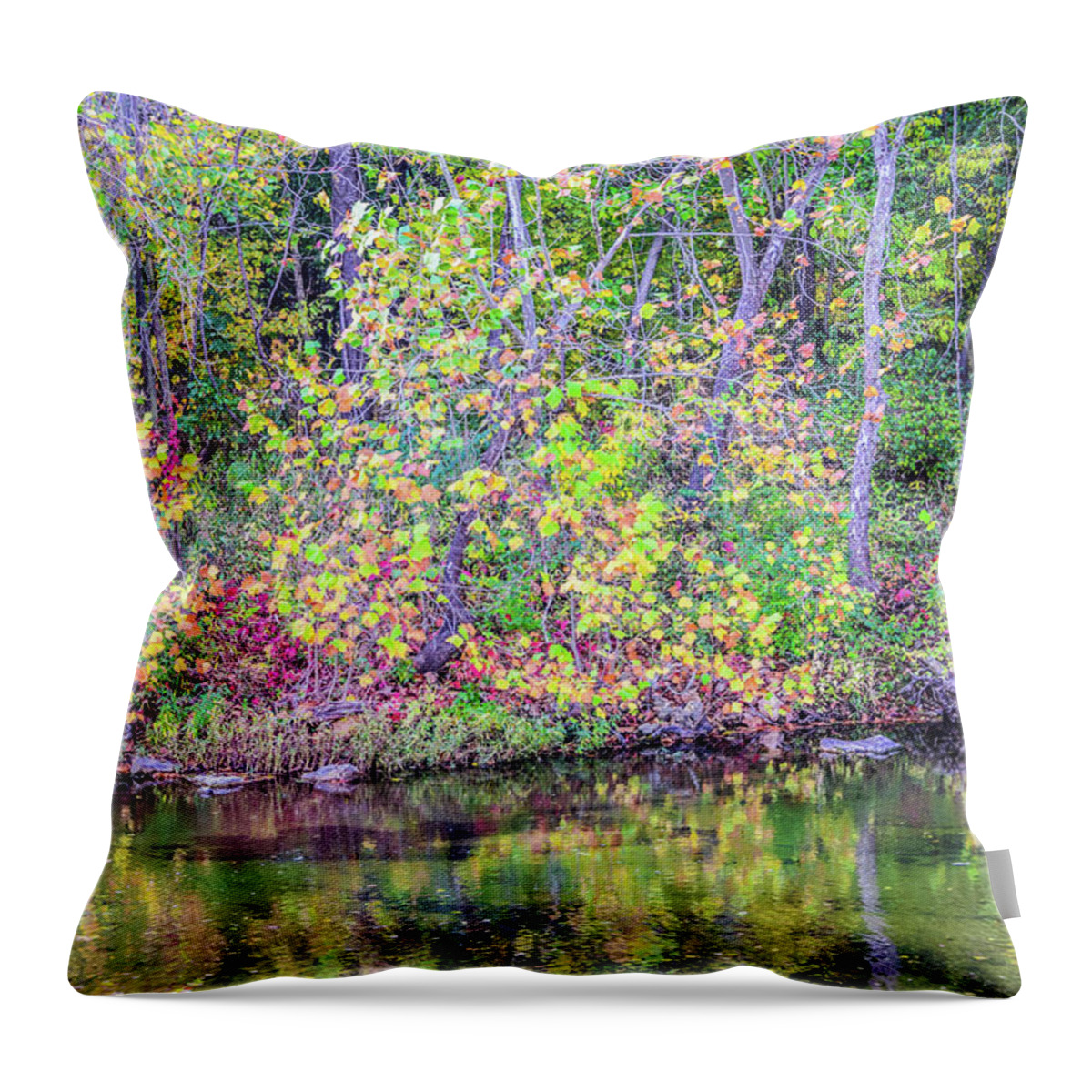Autumn Throw Pillow featuring the photograph Autumn Colors Looks Like a Monet by Peggy Franz
