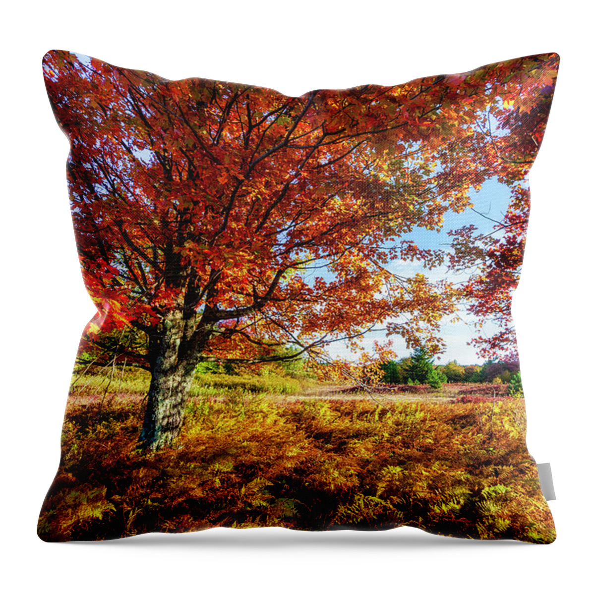 Fall Throw Pillow featuring the photograph Autumn Dazzles in West Virginia by Dan Carmichael