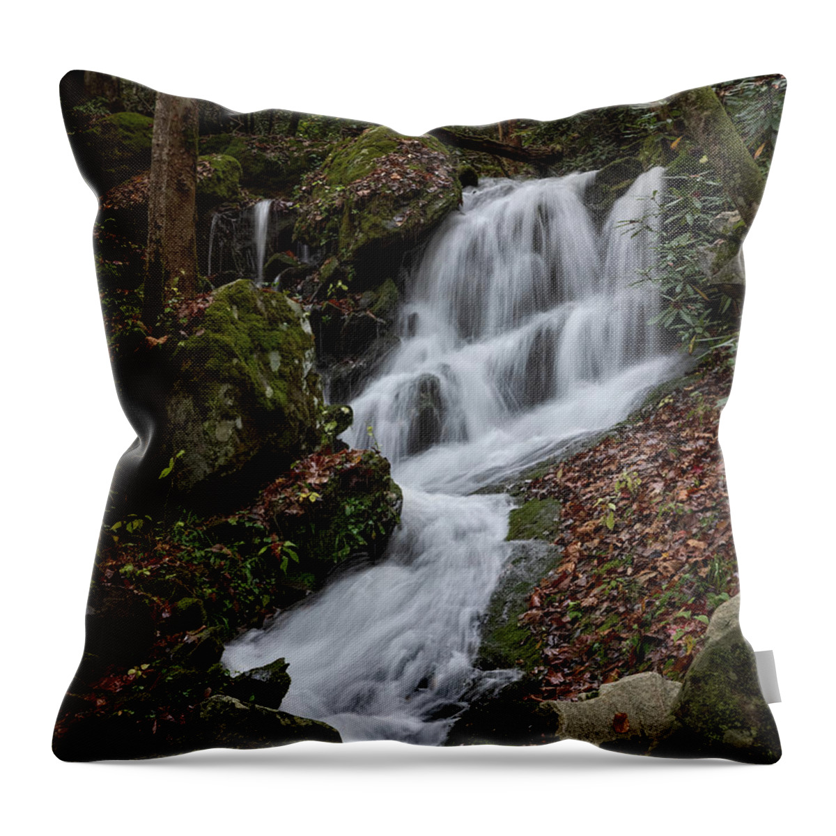 Autumn Throw Pillow featuring the photograph Autumn Falls by Doug Sturgess