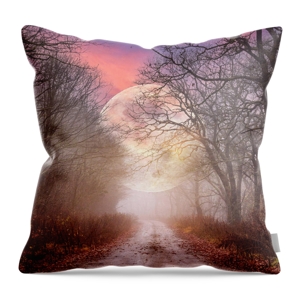 Andrews Throw Pillow featuring the photograph Autumn Falls into Winter Moonlight by Debra and Dave Vanderlaan