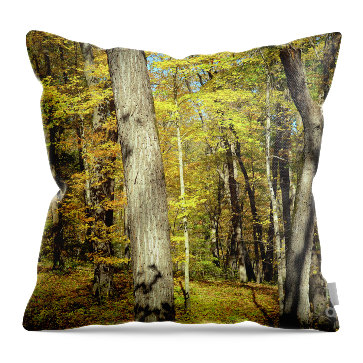 Forest Throw Pillow featuring the photograph Autumn Finale by Deb Halloran