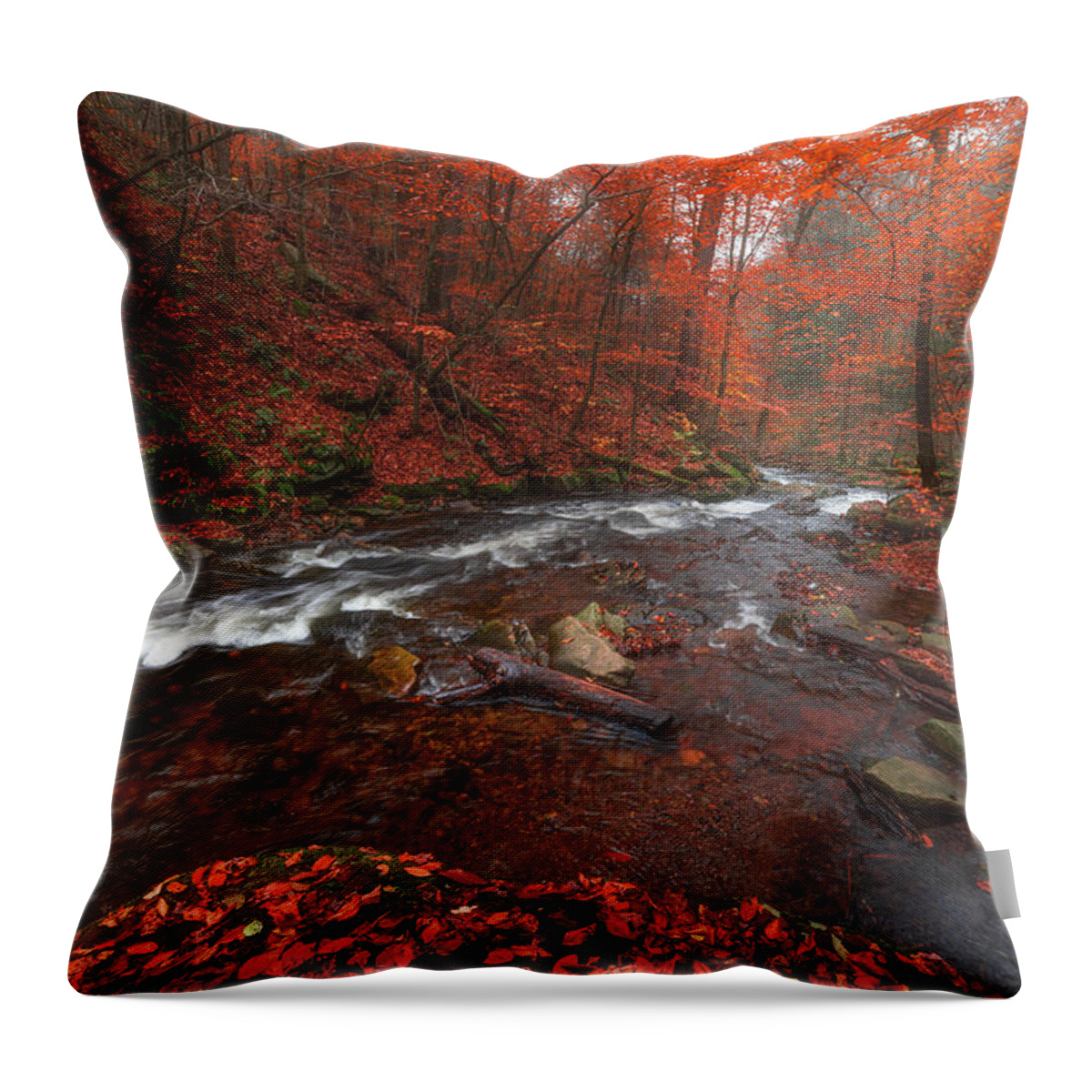 Fall Scenes Throw Pillow featuring the photograph Autumn Fire by Darren White