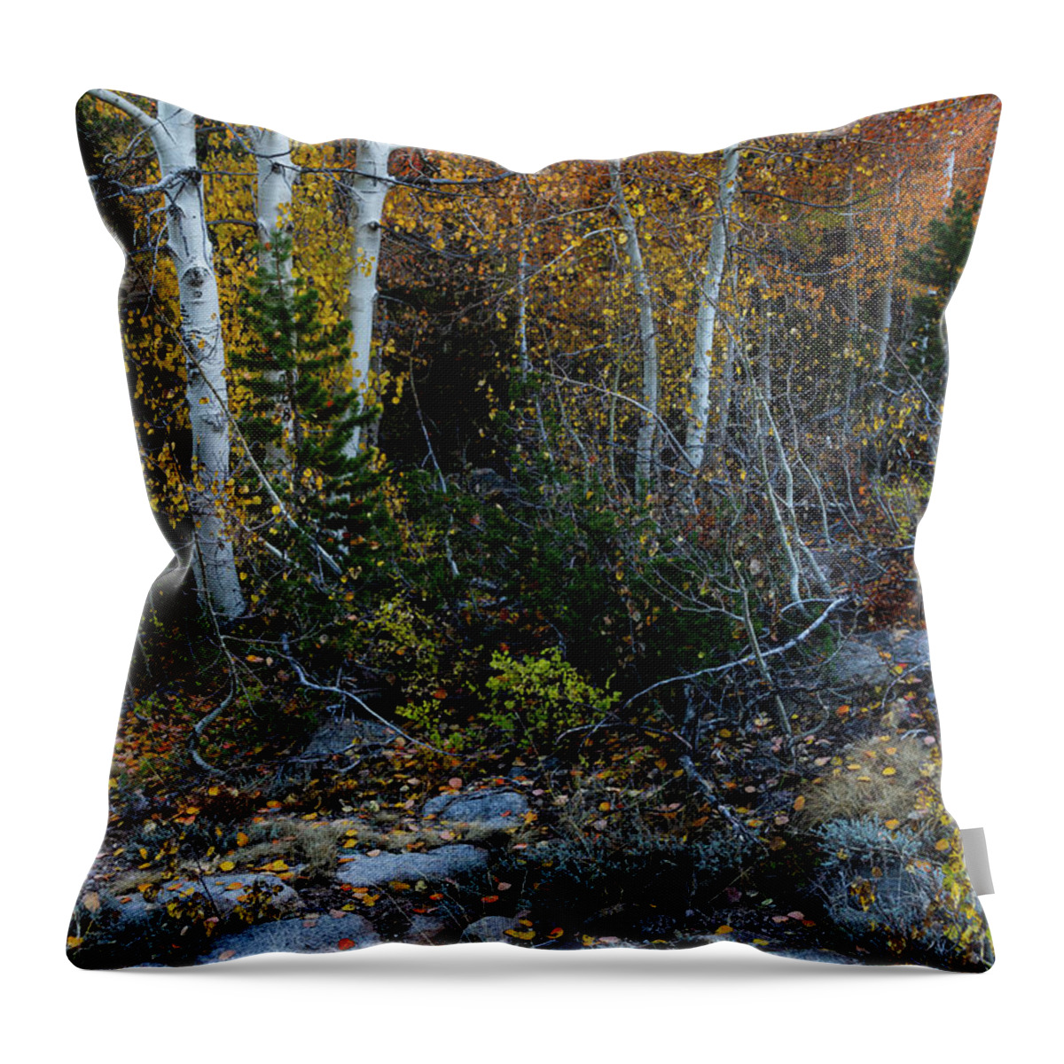 North America Throw Pillow featuring the photograph Autumn Foliage in the Sierras by Mark Miller