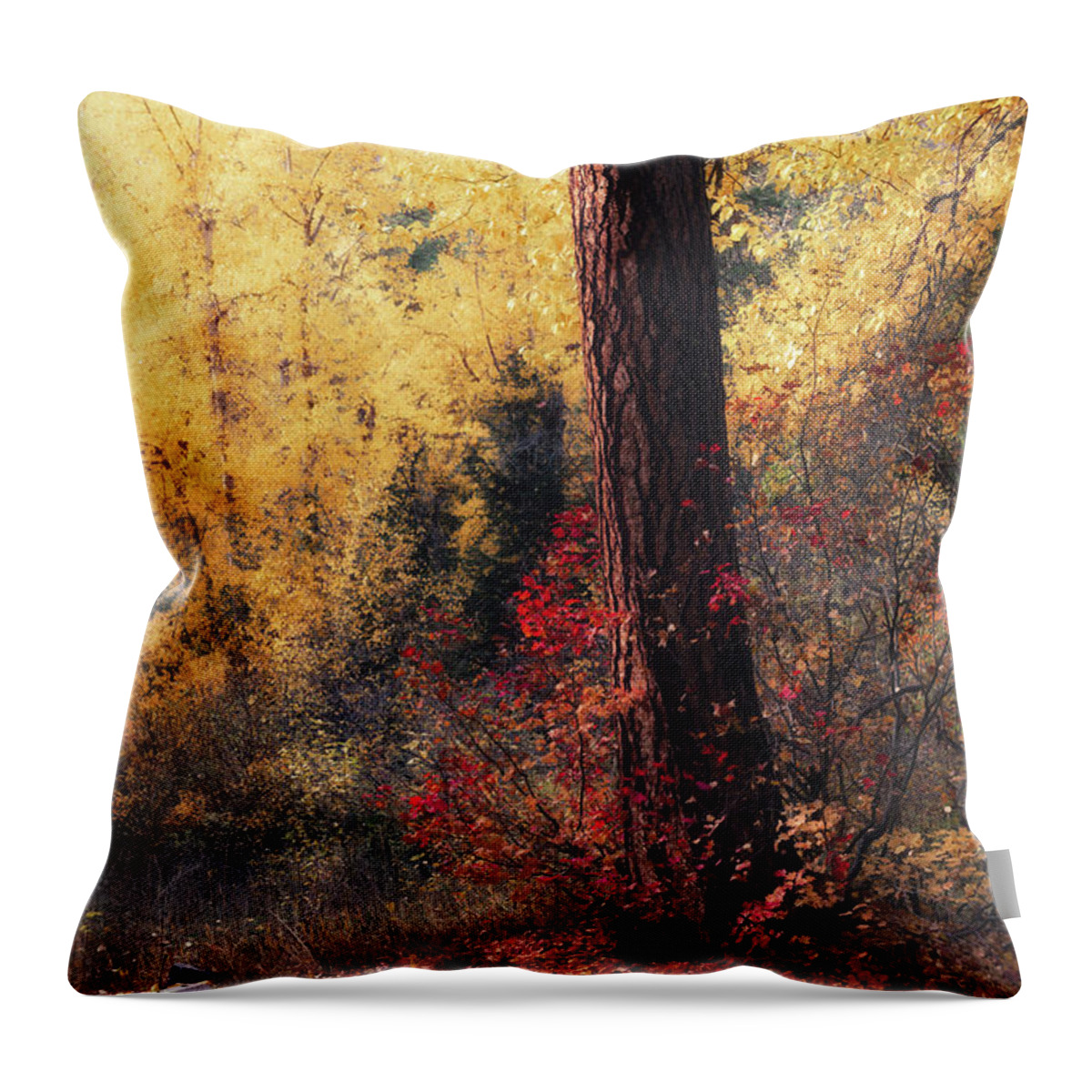 Autumn Throw Pillow featuring the photograph Autumn Impressions by Jason Roberts