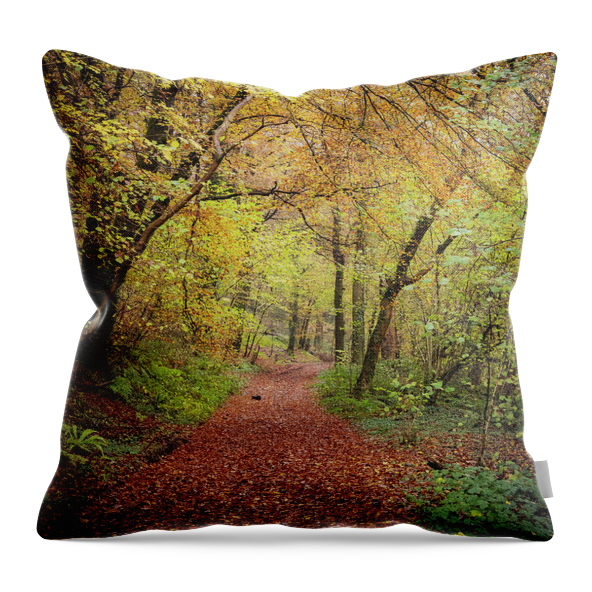 Cardiff Throw Pillow featuring the photograph Autumn, in a nutshell by Gavin Lewis