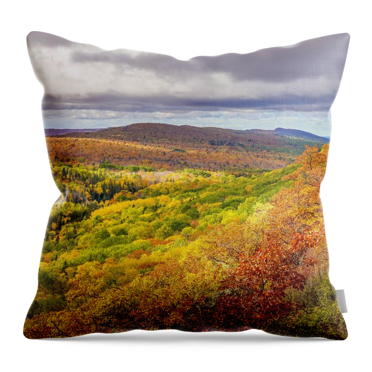 Scenic Throw Pillow featuring the photograph Autumn in Copper Harbor by Susan Rydberg