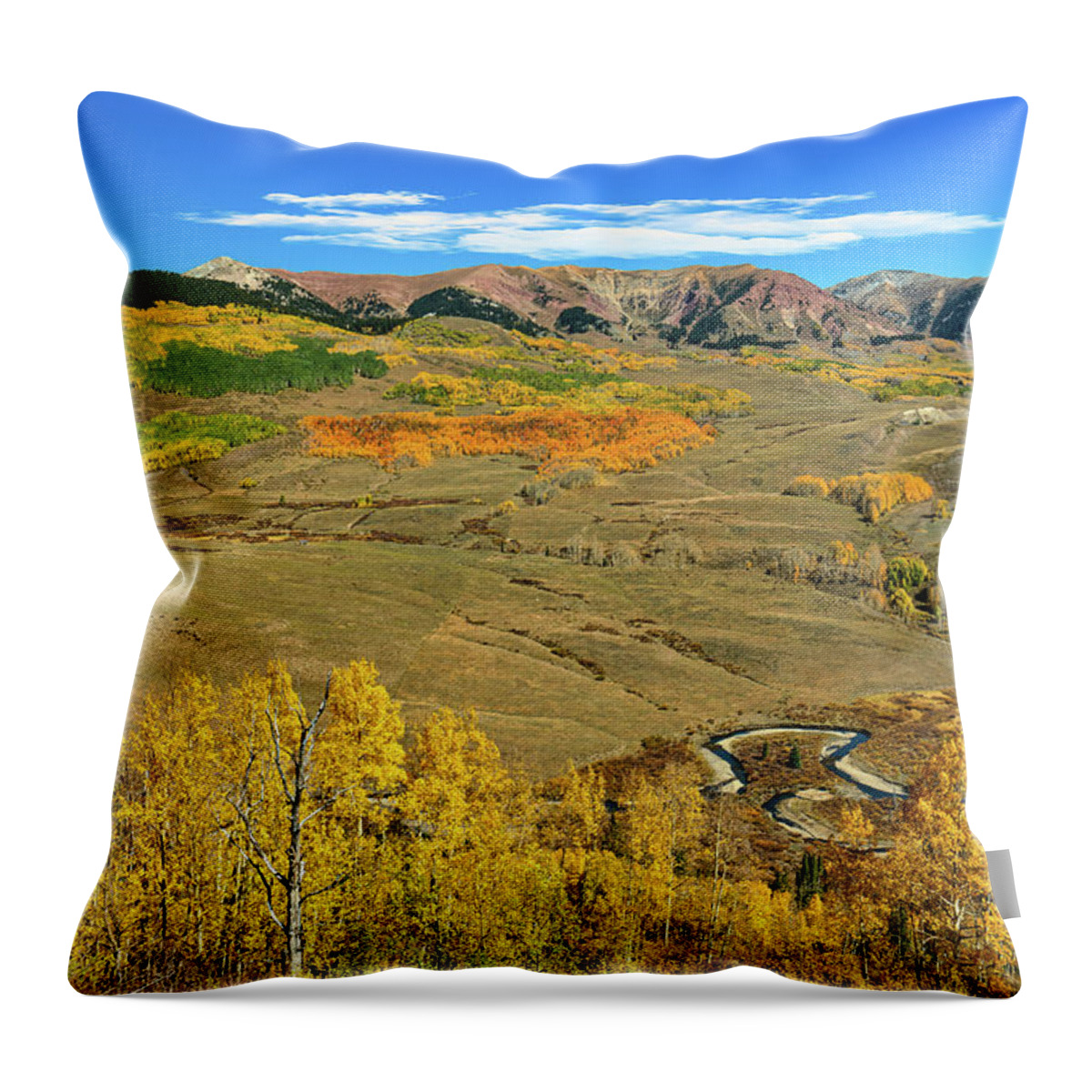 Aspens Throw Pillow featuring the photograph Autumn in Gothic Valley by Ron Long Ltd Photography